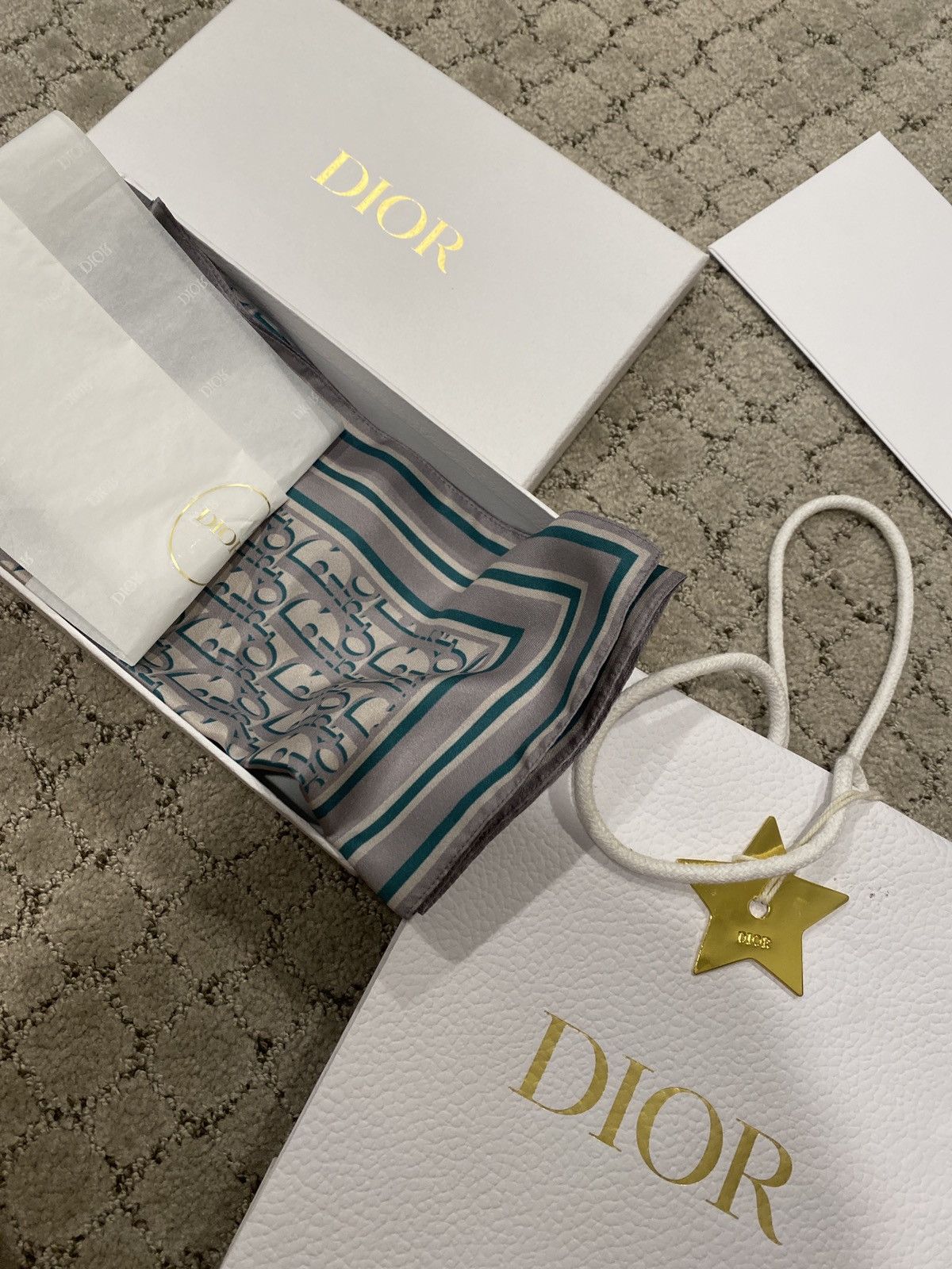 Dior Dior Ties Paph foulards Size ONE SIZE - 6 Thumbnail