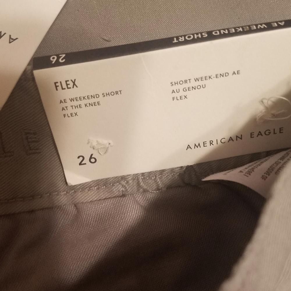 Designer NWT American Eagle Men's Gray Shorts Size 26 Size US 26 / EU 42 - 3 Thumbnail