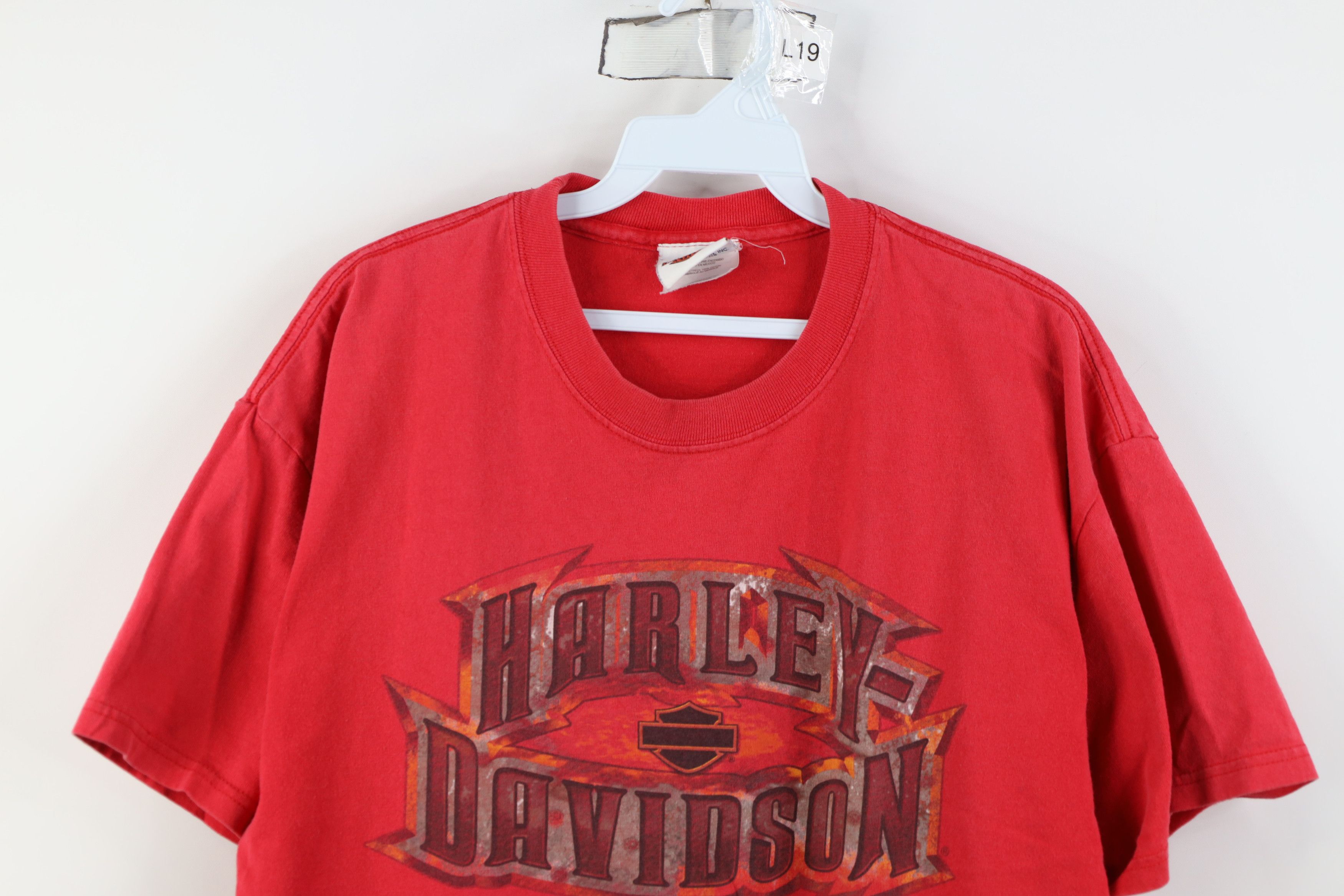 Harley Davidson Vintage Y2K Harley Davidson Fire Flames Hog Tribal T-Shirt Size US L / EU 52-54 / 3 - 2 Thumbnail