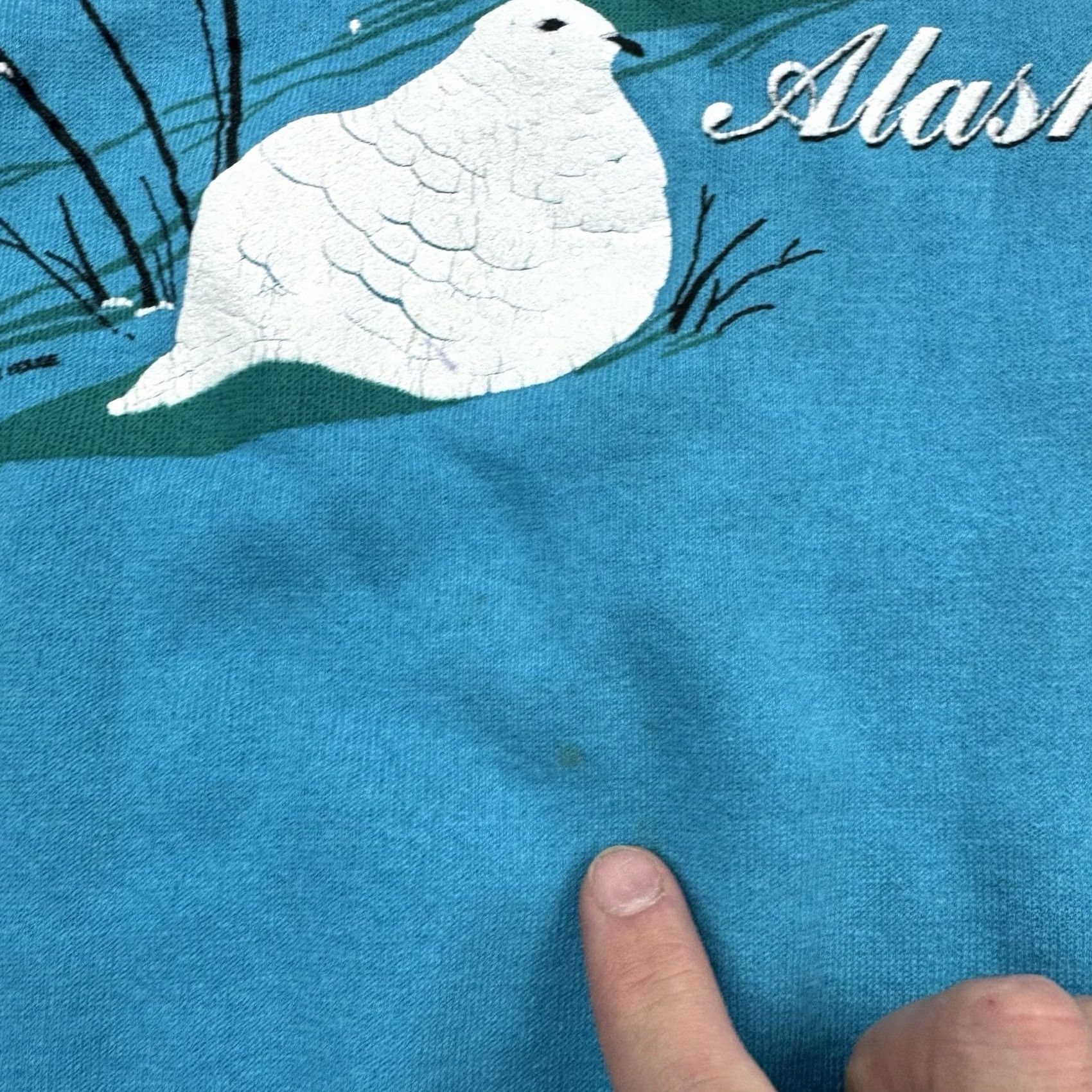 Vintage VINTAGE Alaska Doves Nature Sweatshirt Mens Adult Medium Blue 80s Raglan Cotton Blend Pullover Night? Size US M / EU 48-50 / 2 - 4 Thumbnail