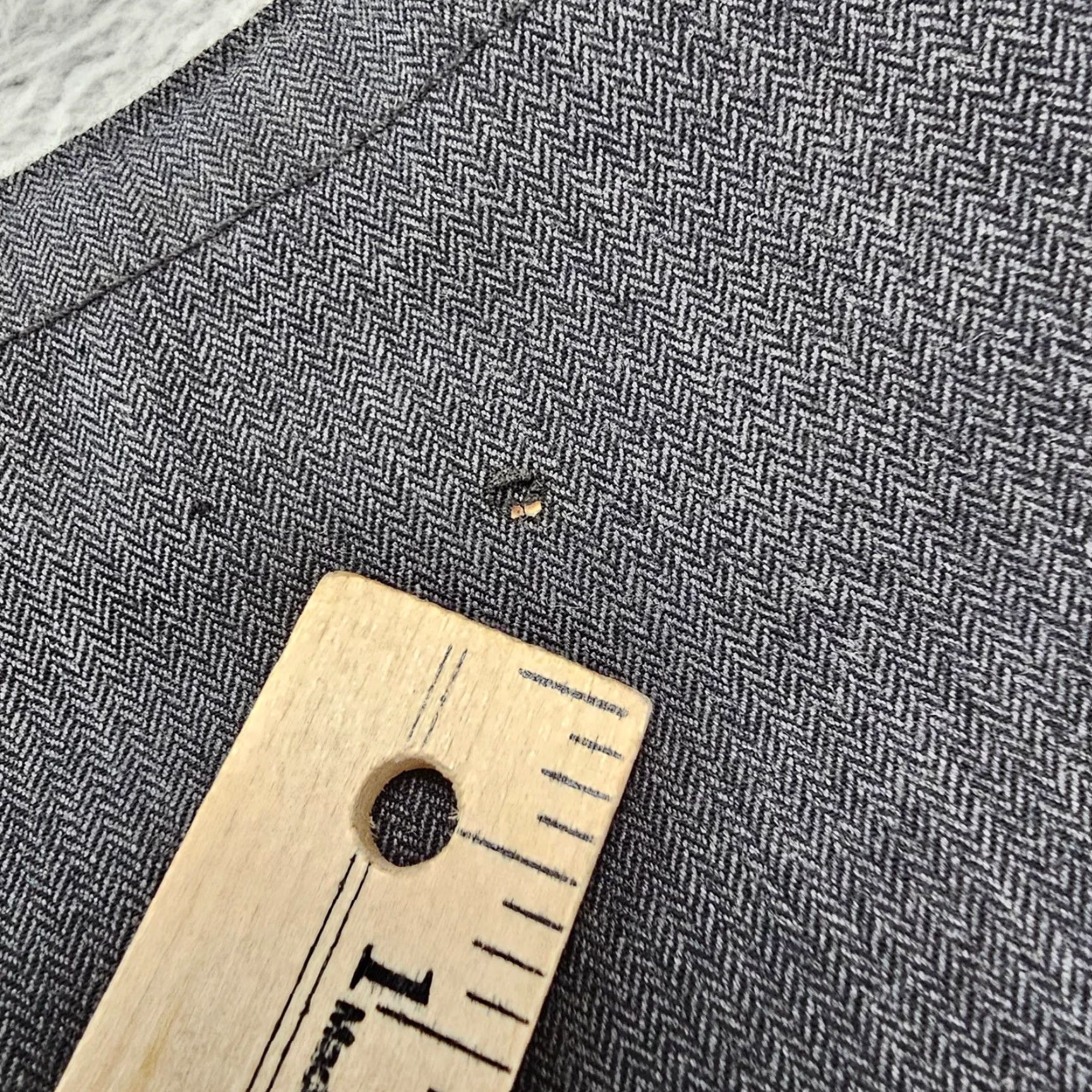 Express Express Dress Pants Mens 36x30 Gray Photographer Wool Stretch Herringbone Chinos Dress Pants Mens Gray Wool Blend Herringbone Express Photographer Size US 36 / EU 52 - 7 Thumbnail