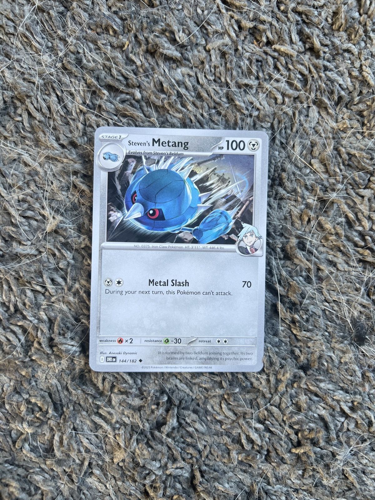Pokemon 2025 Pokémon Steven’s Metang Stage 1 Card Size ONE SIZE - 1 Thumbnail