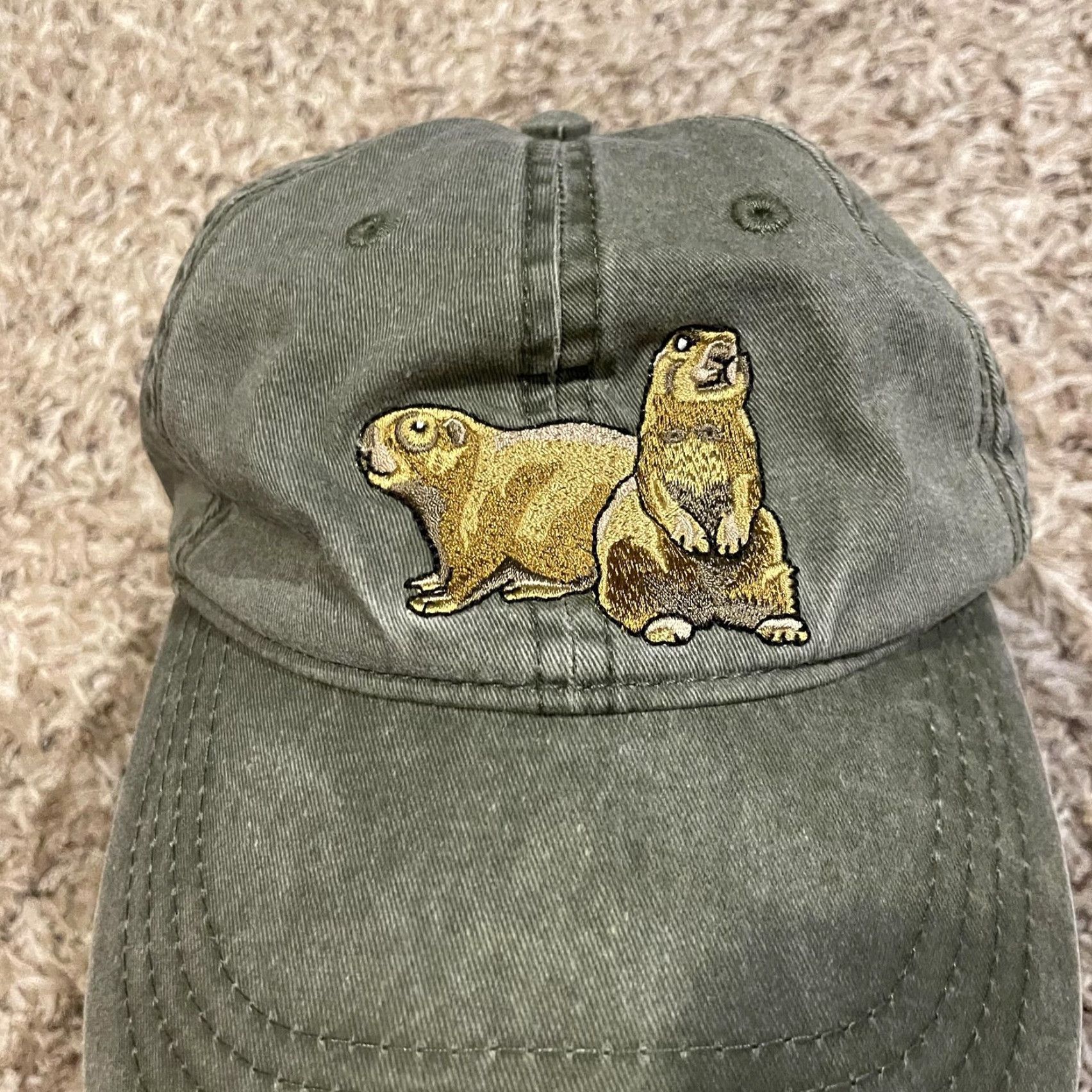 Ecco VINTAGE ECO Prarie Dog Glen Canyon National Recreation Hat Strap Back Green Dad Hat Size ONE SIZE - 3 Thumbnail