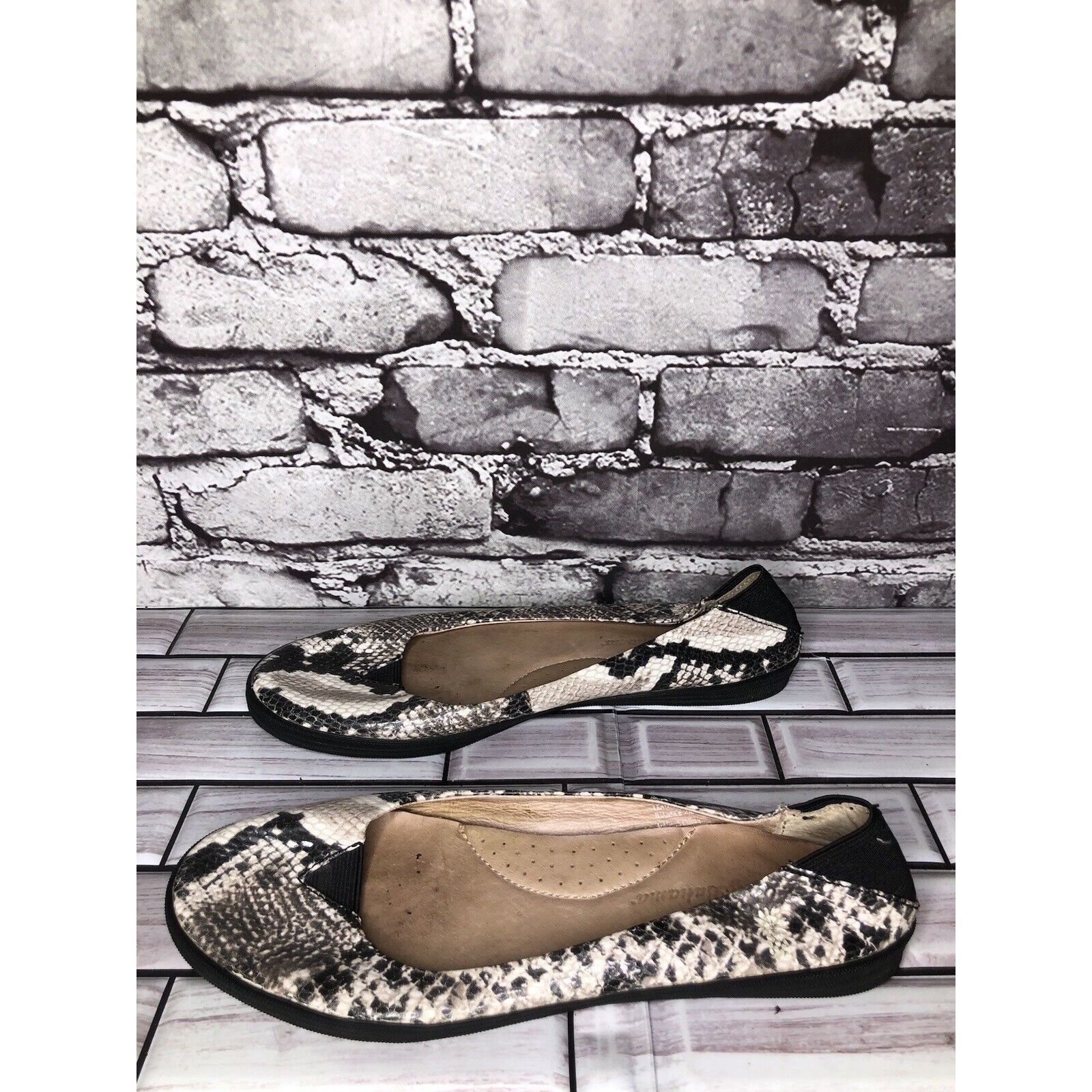 Tommy Bahama Tommy Bahama Odesa Ivory Black Leather Snake Skin Ballet Fla Size US 8 / IT 38 - 16 Thumbnail