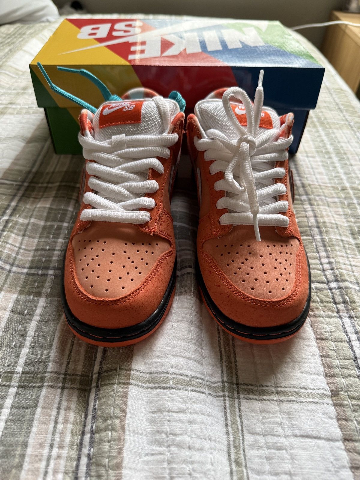 Nike Nike Dunk Low SB Orange Lobster Size US 5.5 / IT 35.5 - 1 Thumbnail
