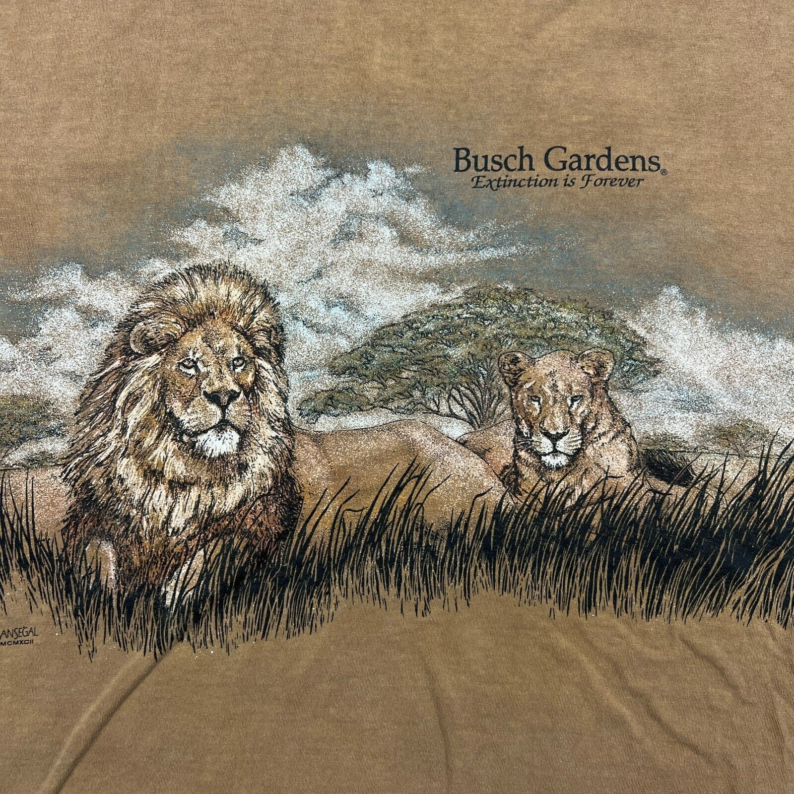 Vintage 90s Lion T Shirt Faded Single Stitched Nature Animal Tee Size US L / EU 52-54 / 3 - 2 Thumbnail