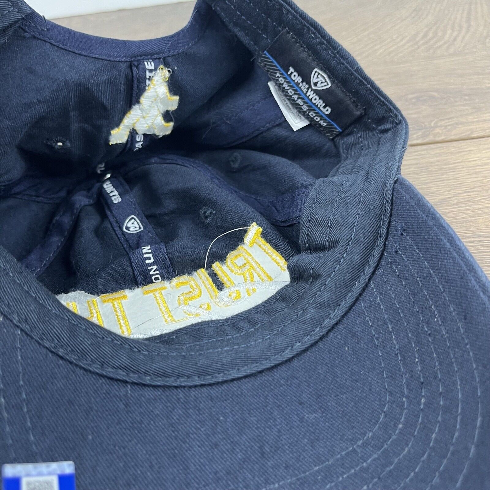 Other Wets Virginia Hat Trust the Climb Hat Blue Adjustable Hat Bl Size ONE SIZE - 16 Thumbnail