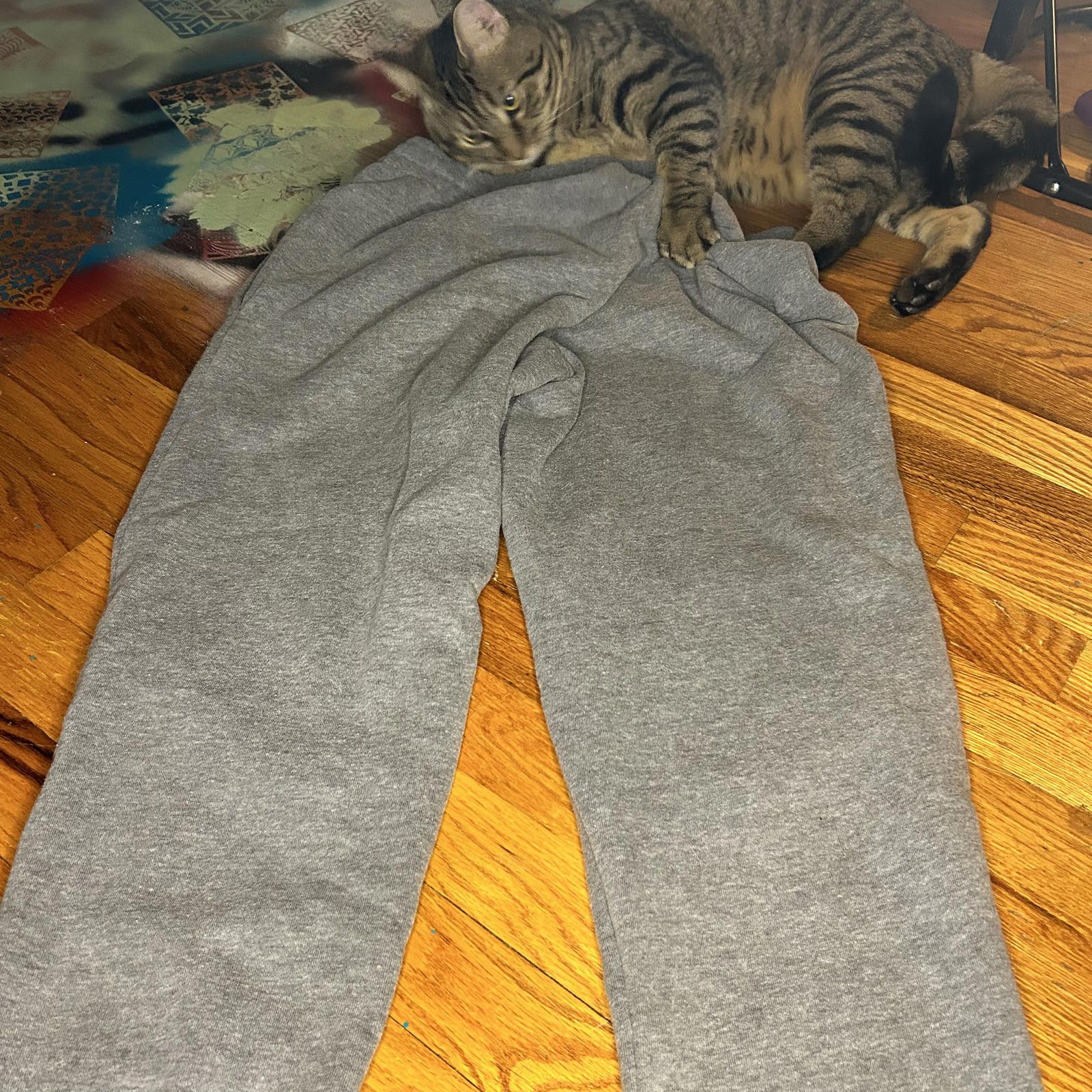 Other EX GEAR UltraSoft Fleece Men's Sweatpants - Medium - Cozy & Size US 32 / EU 48 - 3 Thumbnail