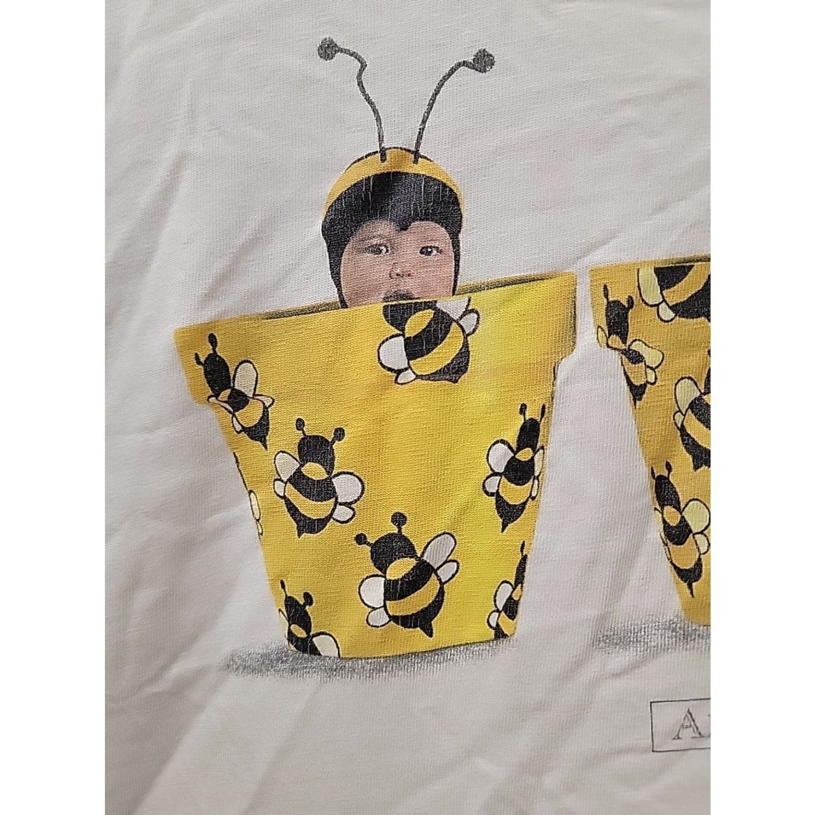 Hanes VINTAGE Anne Geddes Bumblebee Flower Pot Babies T-Shirt XL Men White Graphic Tee Hanes 100% cotton Short Sleeve Distressed Size US XL / EU 56 / 4 - 4 Thumbnail