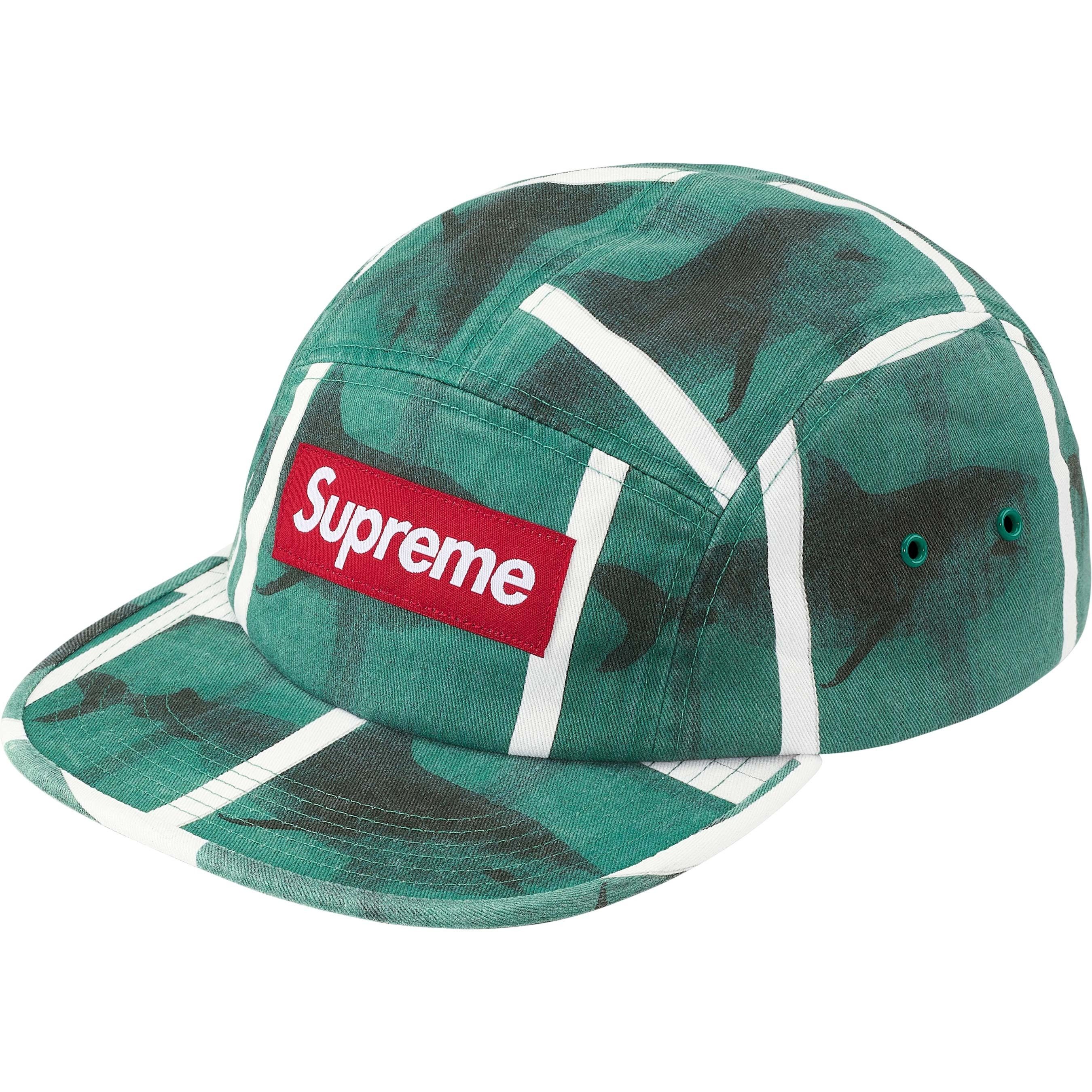 Supreme Supreme Damien Hirst Camp Cap Size ONE SIZE - 1 Thumbnail