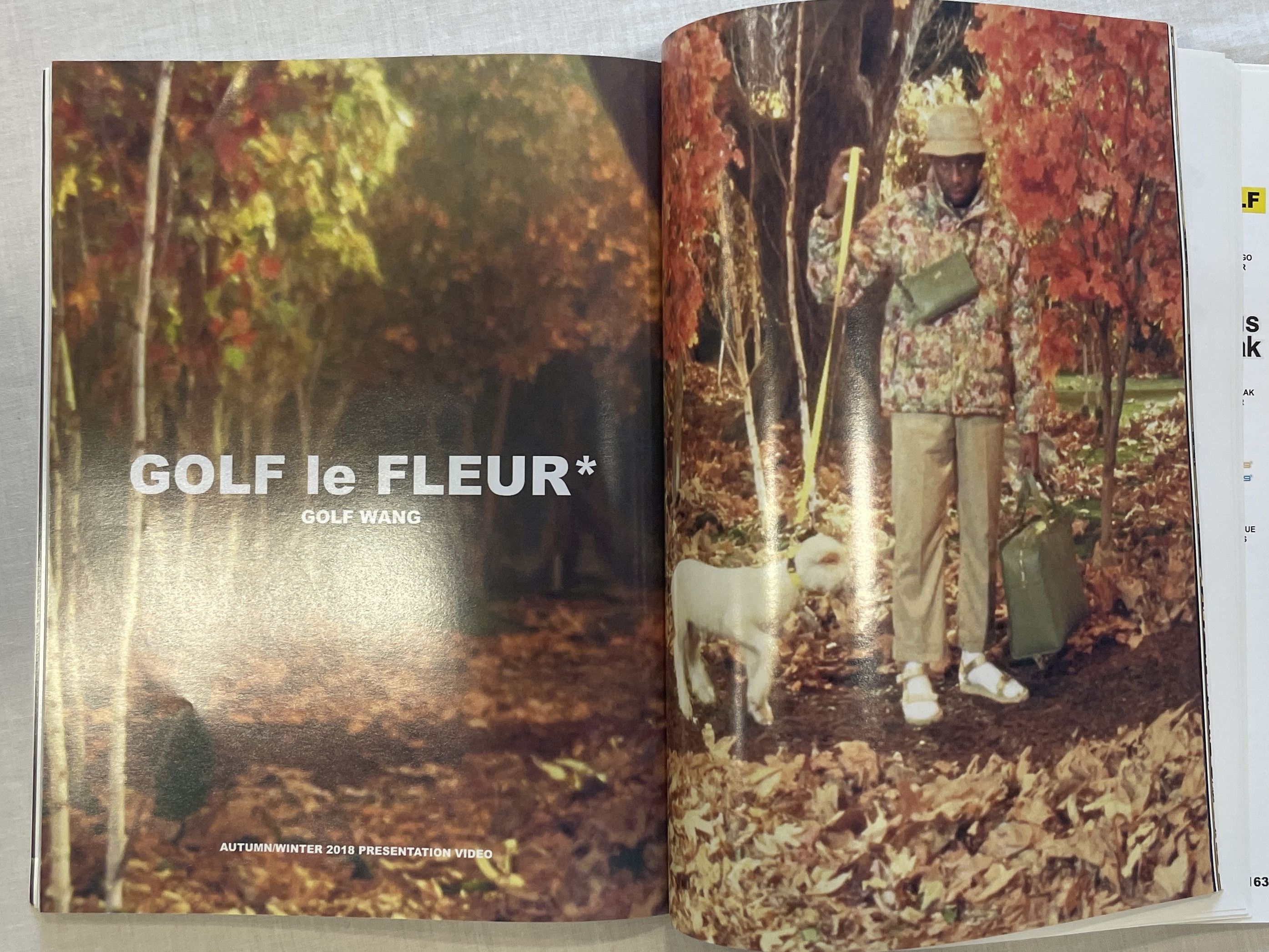 Golf Wang Golf Wang Rare Fashion Art Look Book 2018 Tyler The Creator Size ONE SIZE - 6 Thumbnail