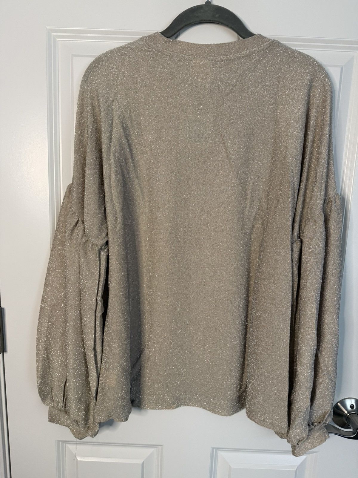 Other Hayden Shimmering Beige Blouse with balloon sleeves new Size S / US 4 / IT 40 - 2 Thumbnail