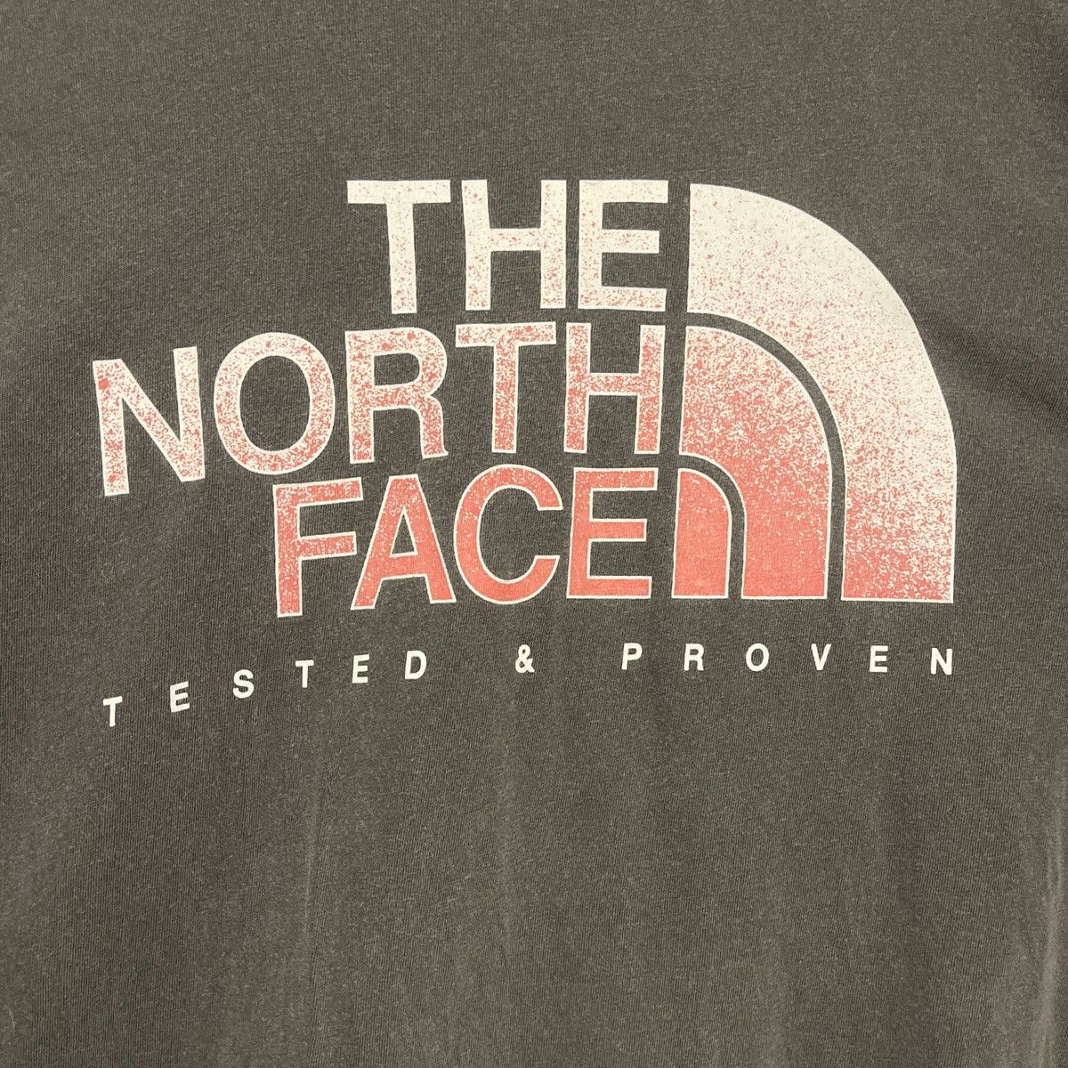 The North Face 90s The North Face Gray T Shirt White And Reg Logo Size US L / EU 52-54 / 3 - 3 Thumbnail