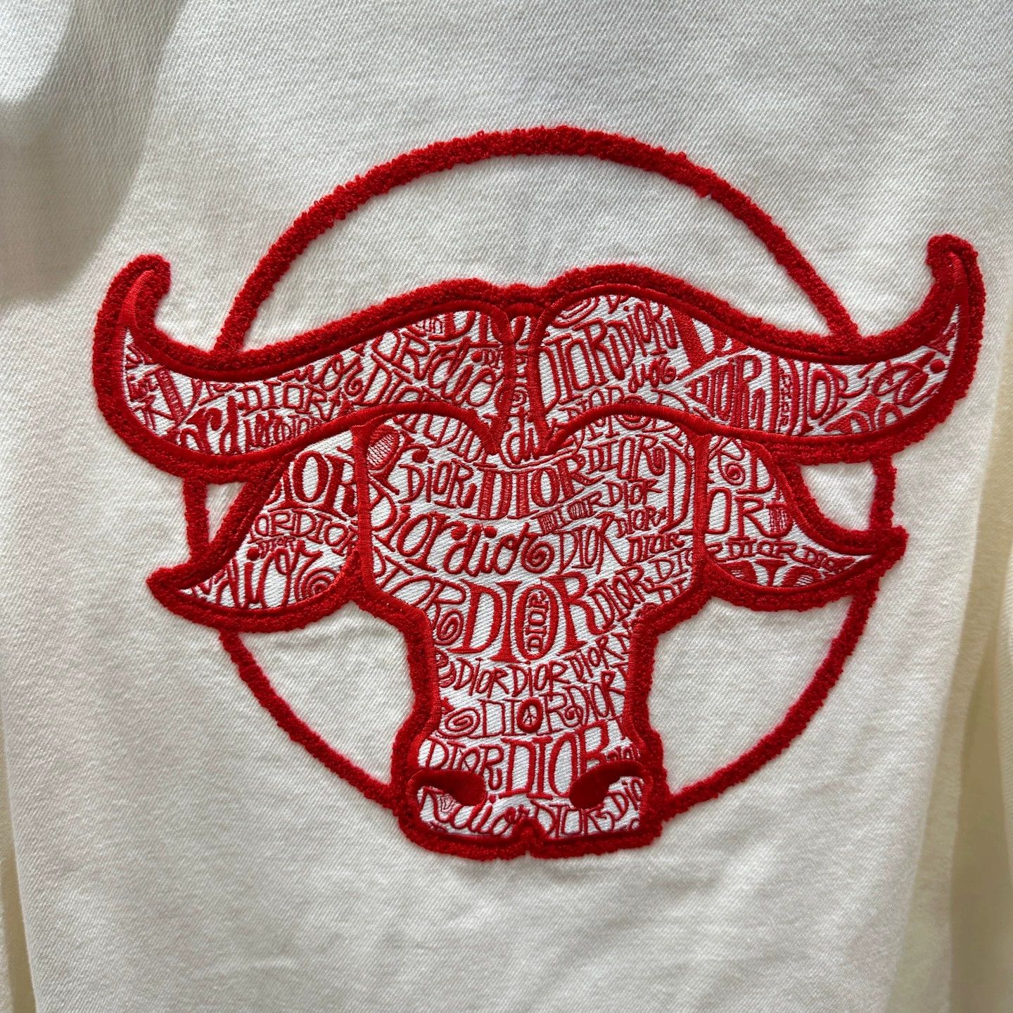 Dior Dior mar455 flocked embroidery longsleeve shirt 39 Size US M / EU 48-50 / 2 - 7 Thumbnail