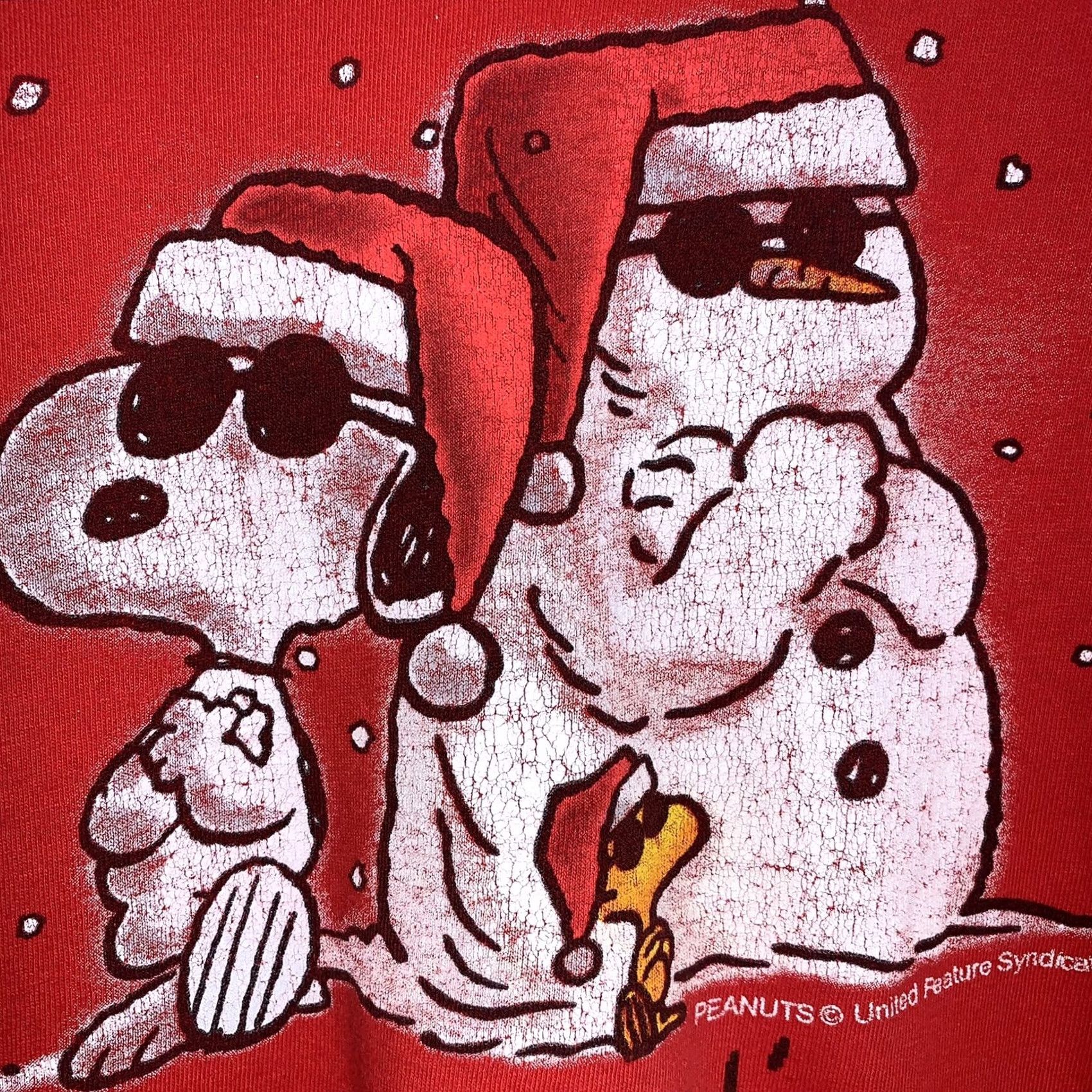 Peanuts Peanuts Christmas Joe Cool Snoopy Woodstock Chillin T-Shirt Sz Medium Red Tee Size US M / EU 48-50 / 2 - 2 Thumbnail