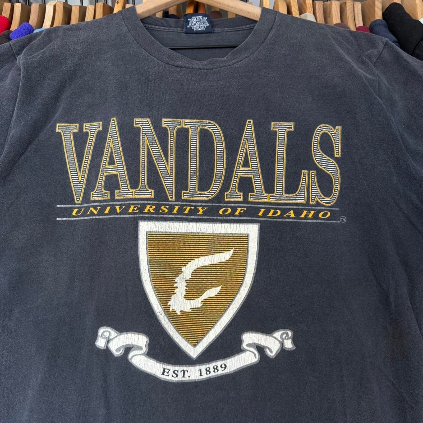 Jansport Vintage 90s Faded University of Idaho Vandals T-Shirt Size US L / EU 52-54 / 3 - 4 Thumbnail