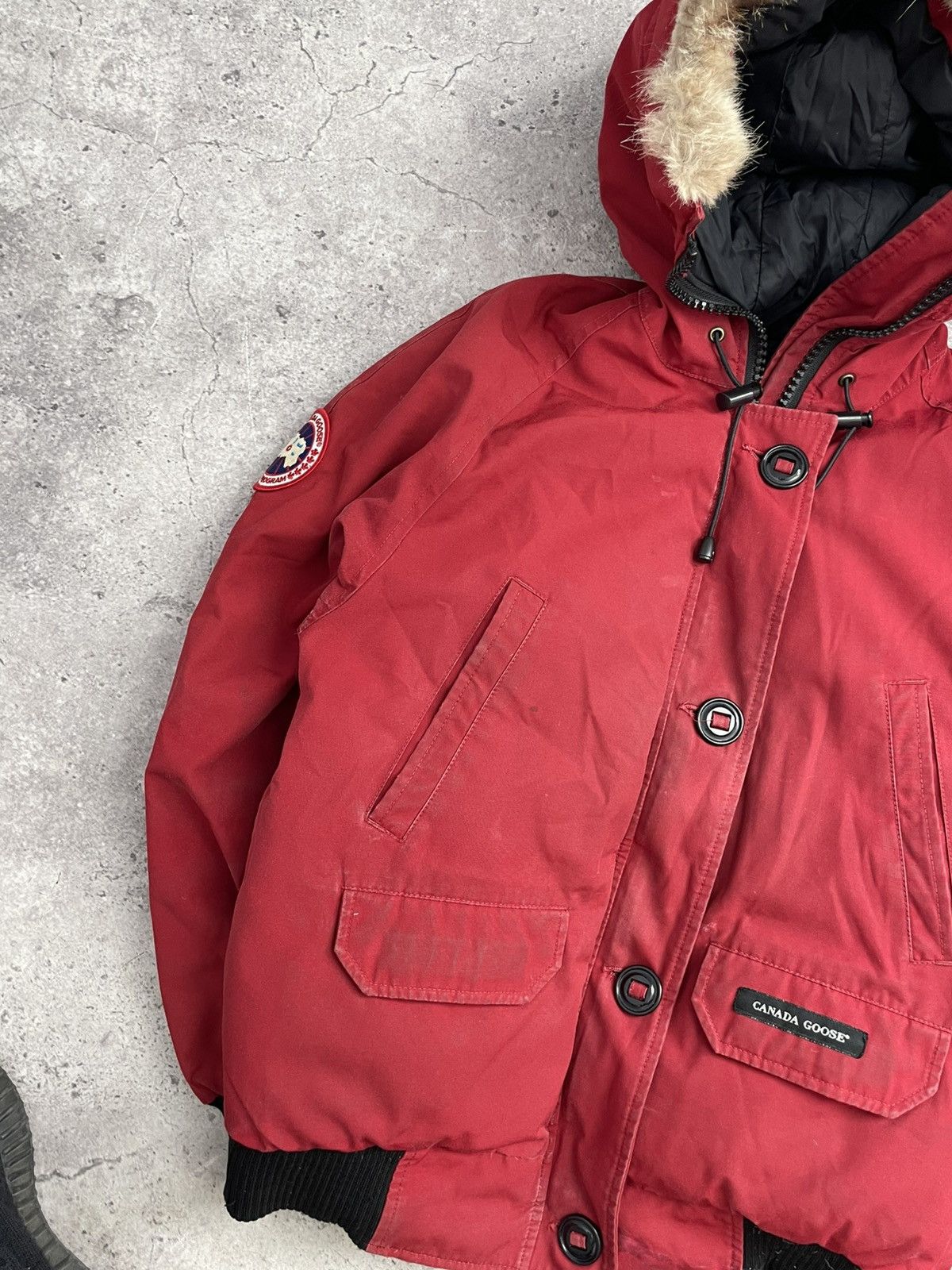Canada Goose Canada Goose Chilliwack Bomber Fur Jacket Size US S / EU 44-46 / 1 - 2 Thumbnail