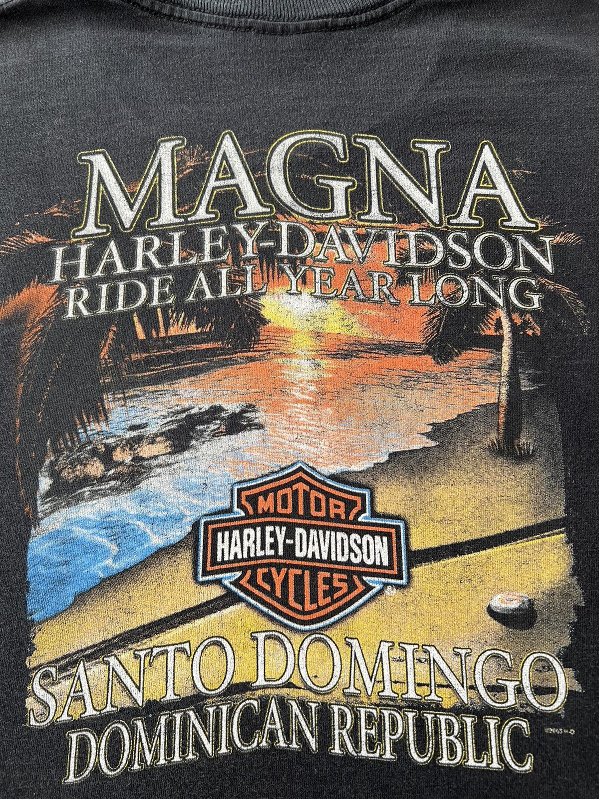Harley Davidson Vintage 2005 Harley Davidson Fire Flame Motor Black T-shirt Size US L / EU 52-54 / 3 - 17 Thumbnail