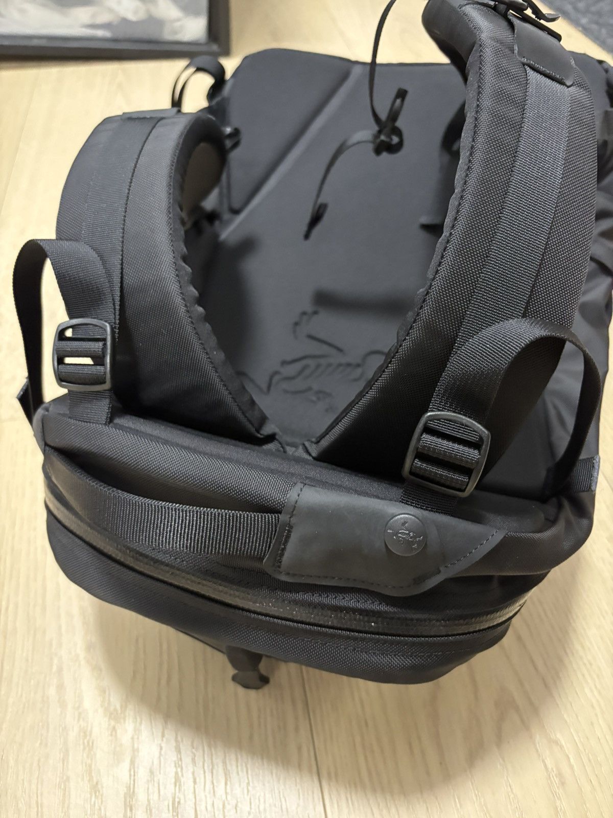 Arc'teryx Arc’teryx Arro 22 × EA Sports – Ultra Rare Employee Collab Size ONE SIZE - 8 Thumbnail