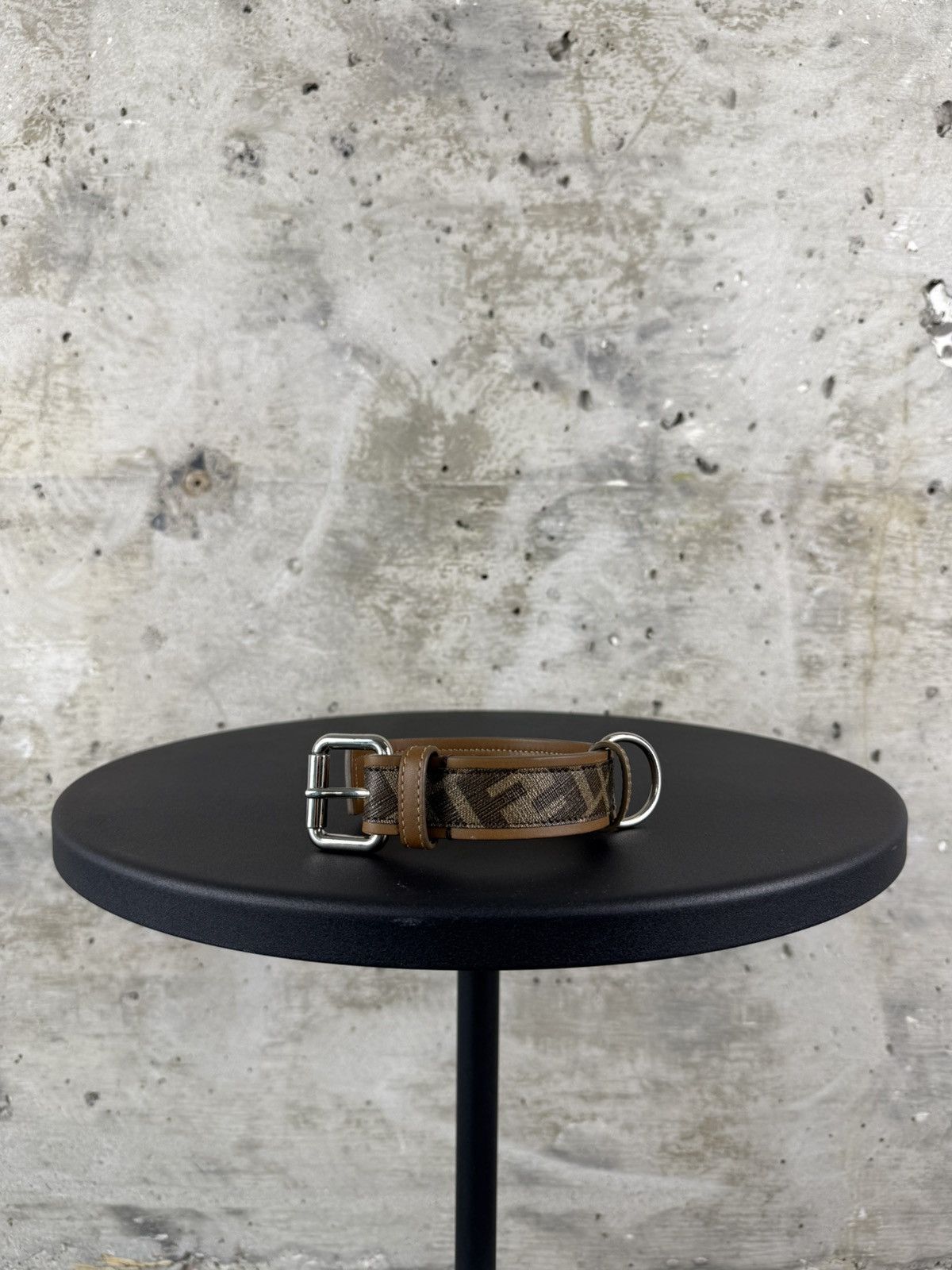 Fendi Dog Collar