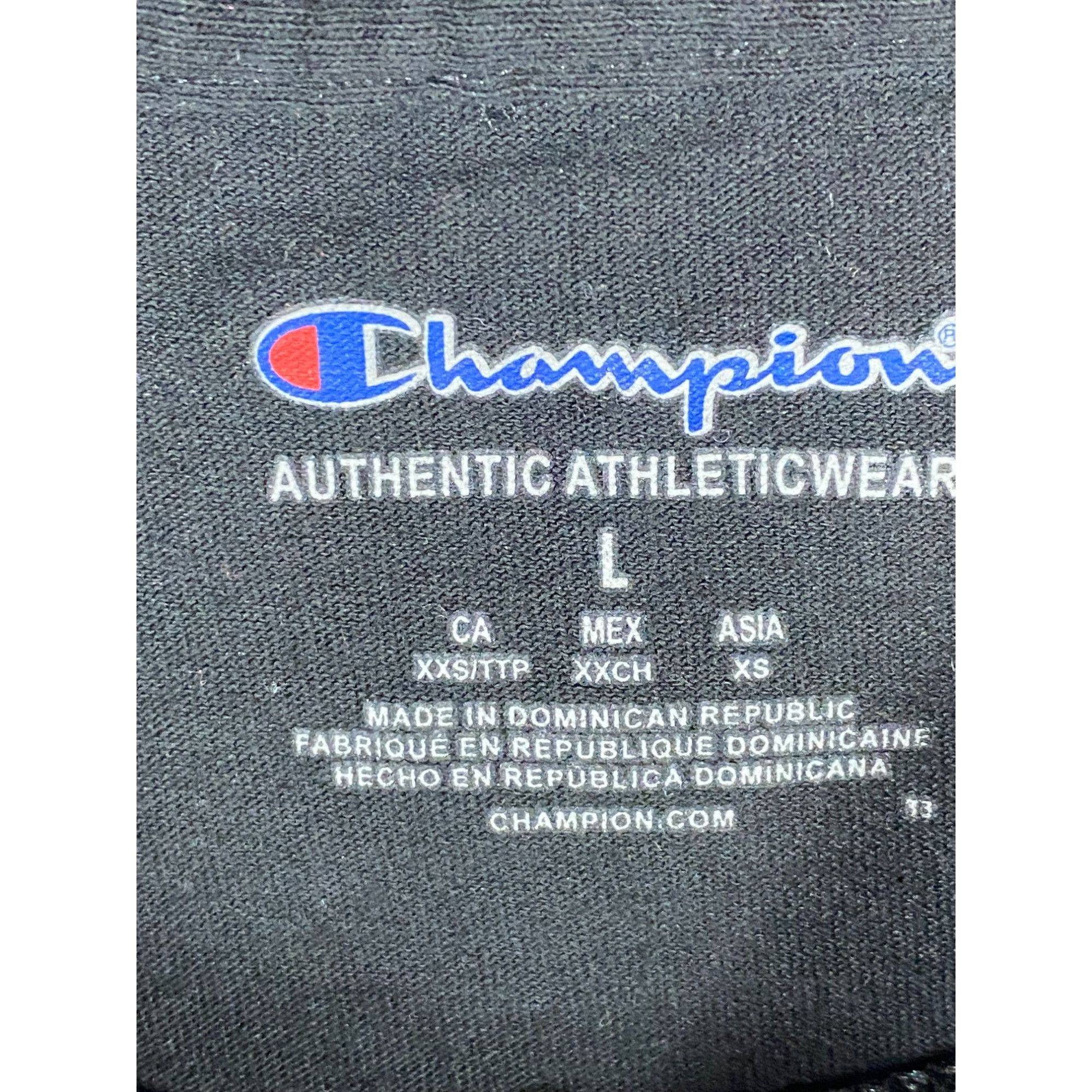 Champion Champion Lionel Richie Earth Wind & Fire 2023 Tour Tee Shirt Size US L / EU 52-54 / 3 - 3 Thumbnail