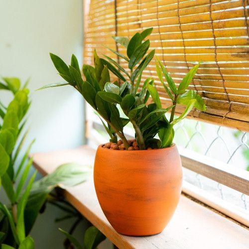 Designer × Homemade Smart Self-watering Round Planter Pot for Indoor and Outdoor Size US L / EU 52-54 / 3 - 7 Thumbnail