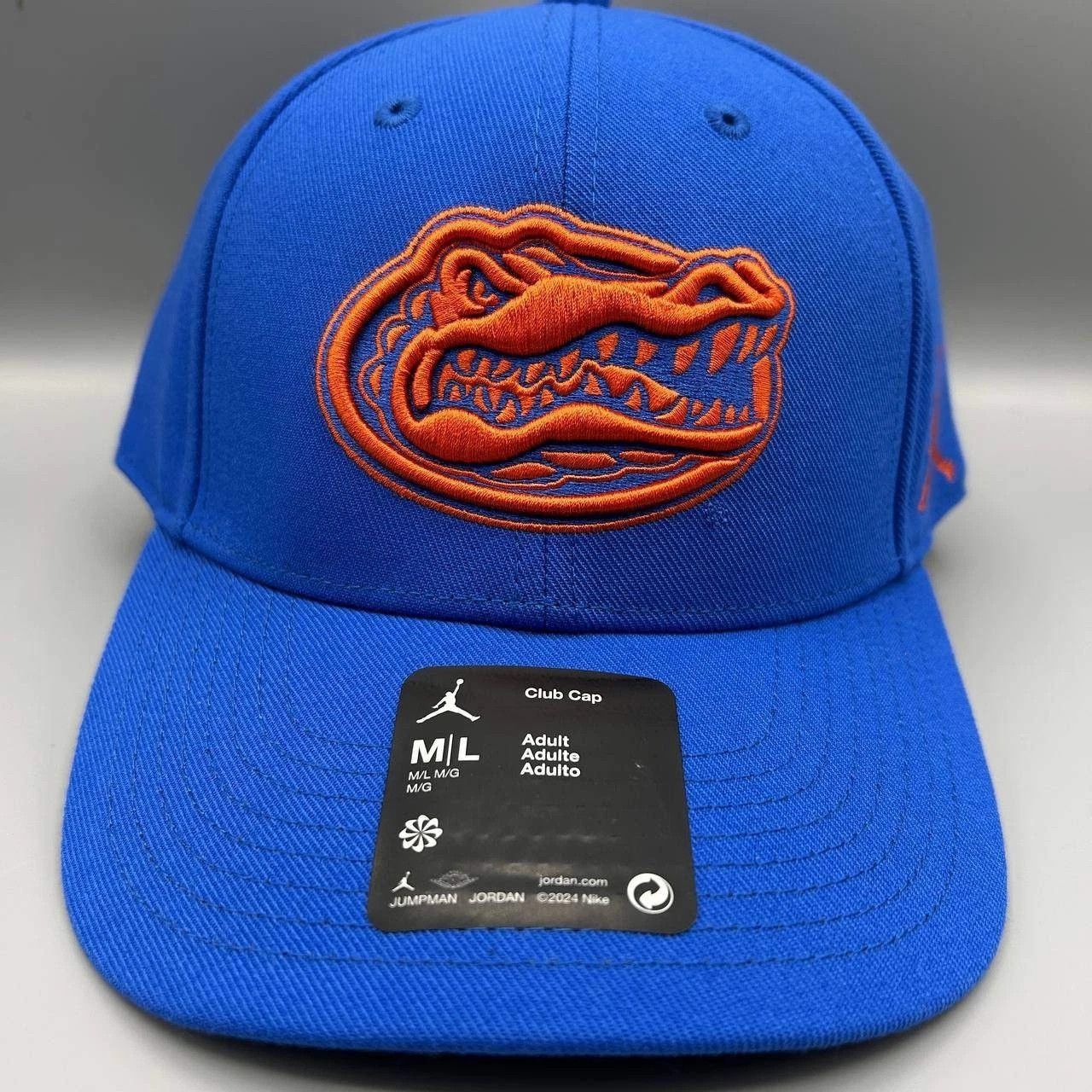 Jordan Brand Florida Gators x Air Jordan Club Hat M-L Dri-Fit Strap Back Size ONE SIZE - 1 Thumbnail
