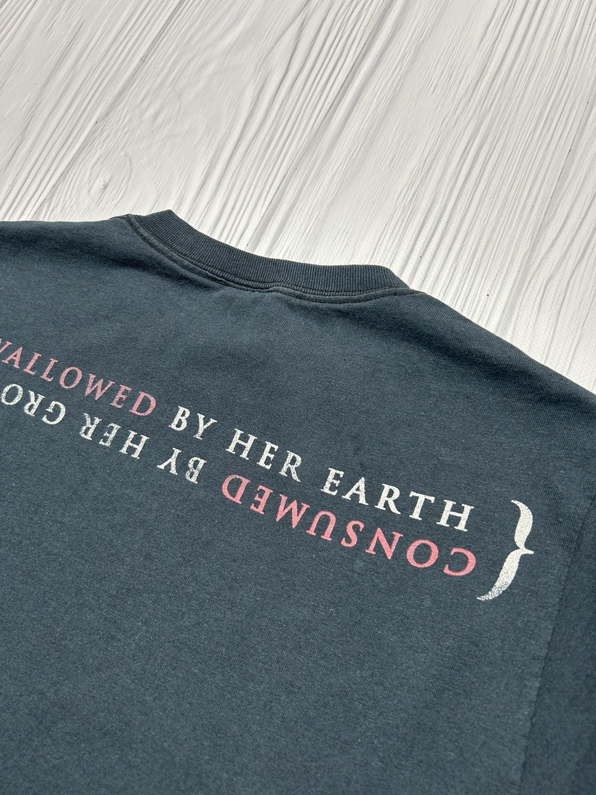 Band Tees Vintage Pig Destroyer Terrifyer Album Grindcore T-Shirt S Size US S / EU 44-46 / 1 - 13 Thumbnail