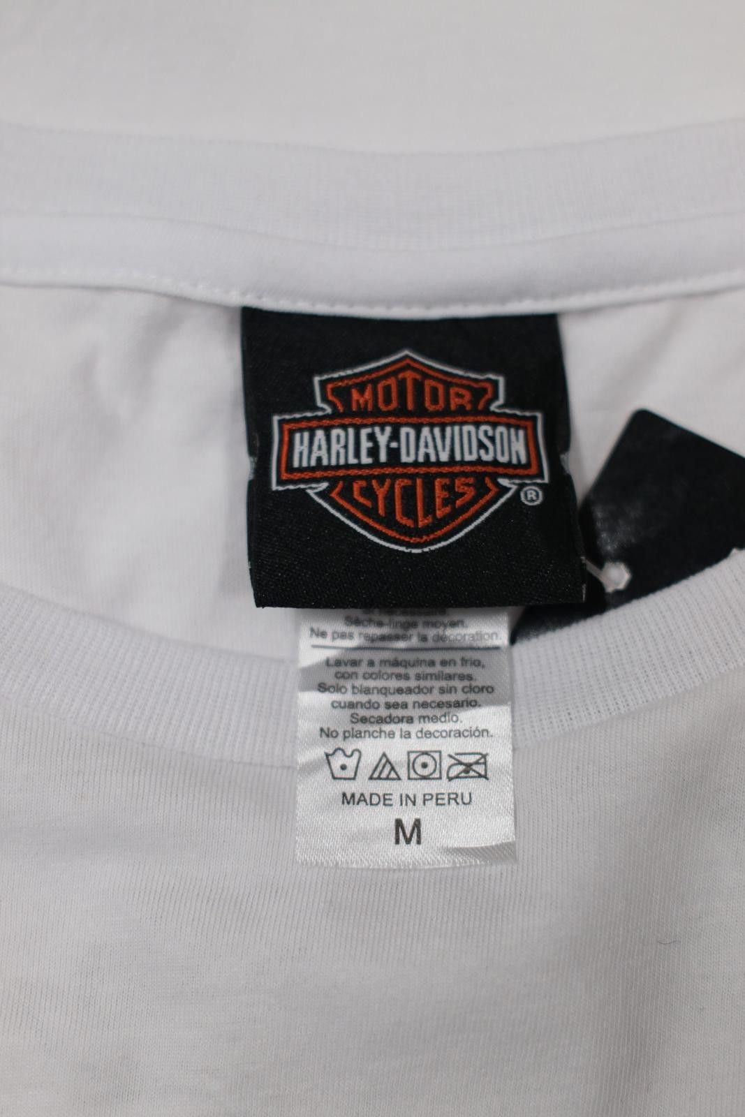 Harley Davidson 2019 Harley Davidson Big Logo Long Sleeve T-Shirt Size M / US 6-8 / IT 42-44 - 6 Thumbnail