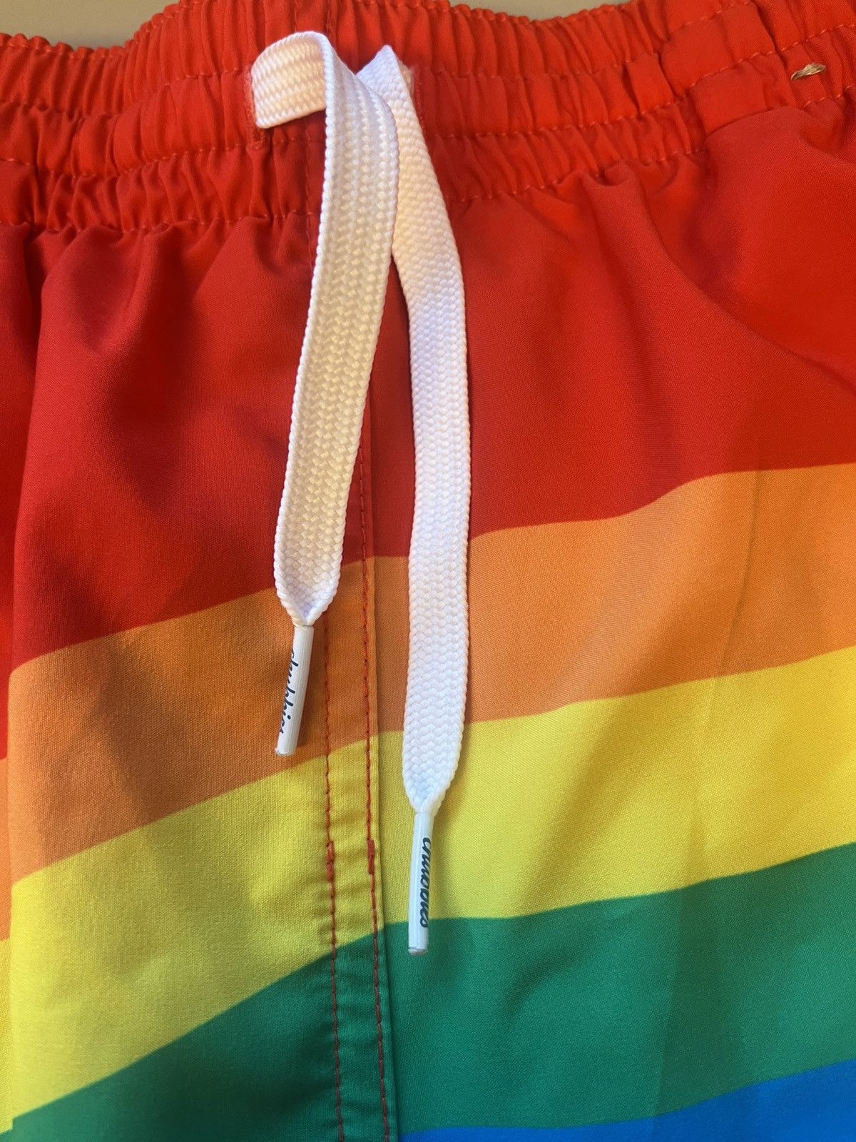 Chubbies Chubbies Swim Trunks Pride Size Medium Size US 34 / EU 50 - 3 Thumbnail