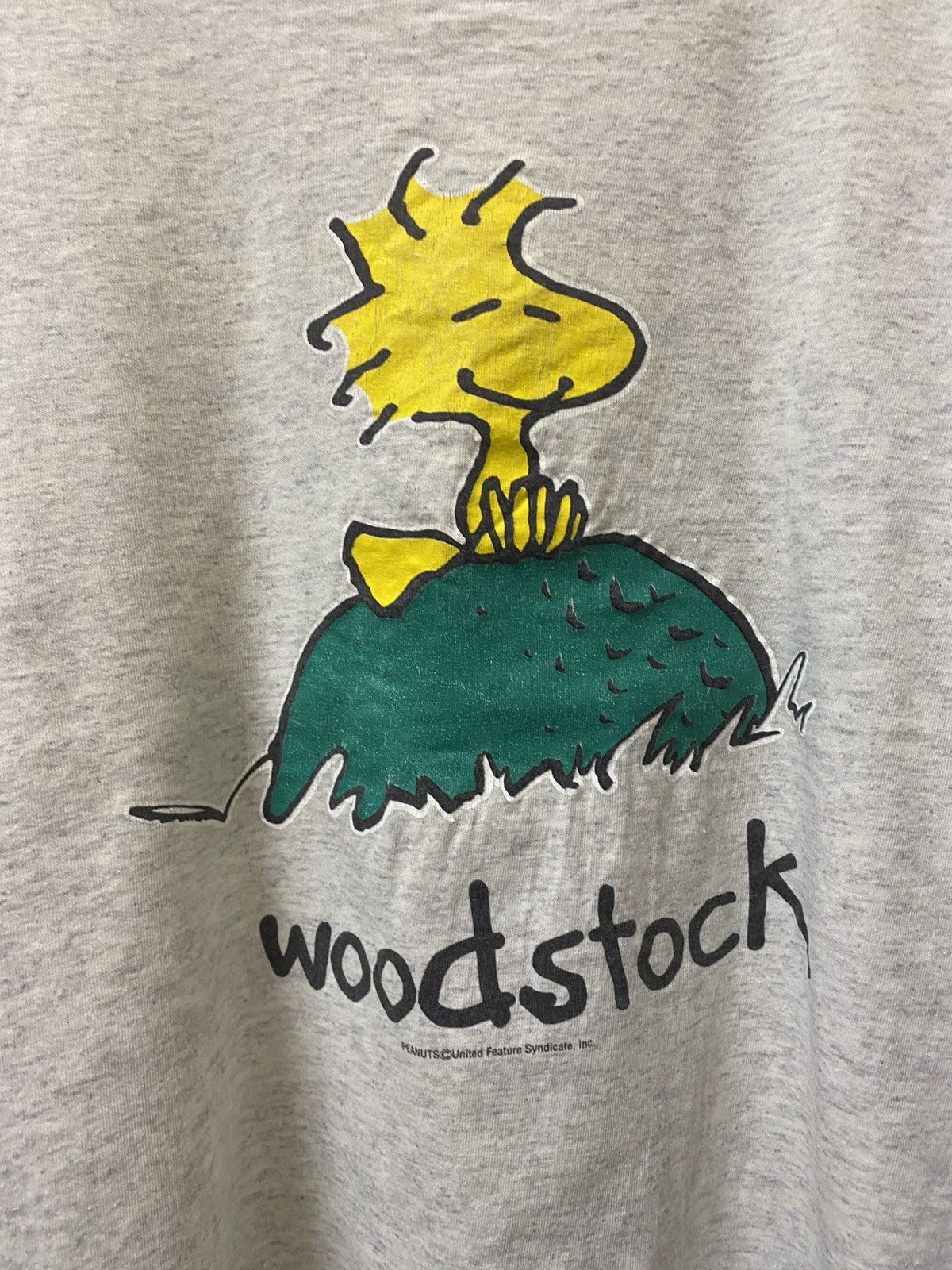 Vintage Peanuts Wood Stock Crewneck Tee Size US L / EU 52-54 / 3 - 3 Thumbnail