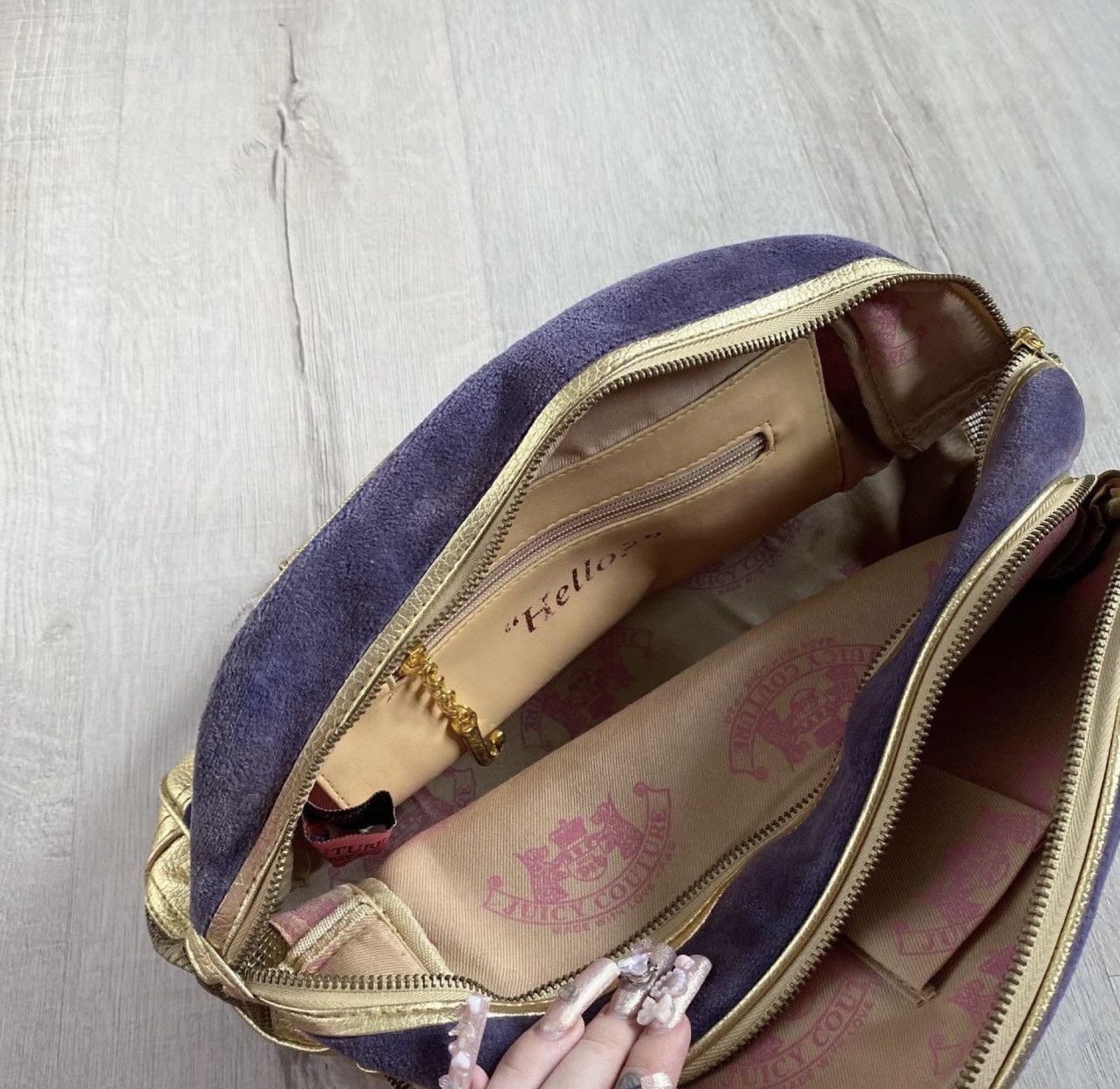 Juicy Couture × Vintage 2000s Vintage Juicy Couture Daydreamer Velour Velvet Y2k Bag Size ONE SIZE - 7 Thumbnail