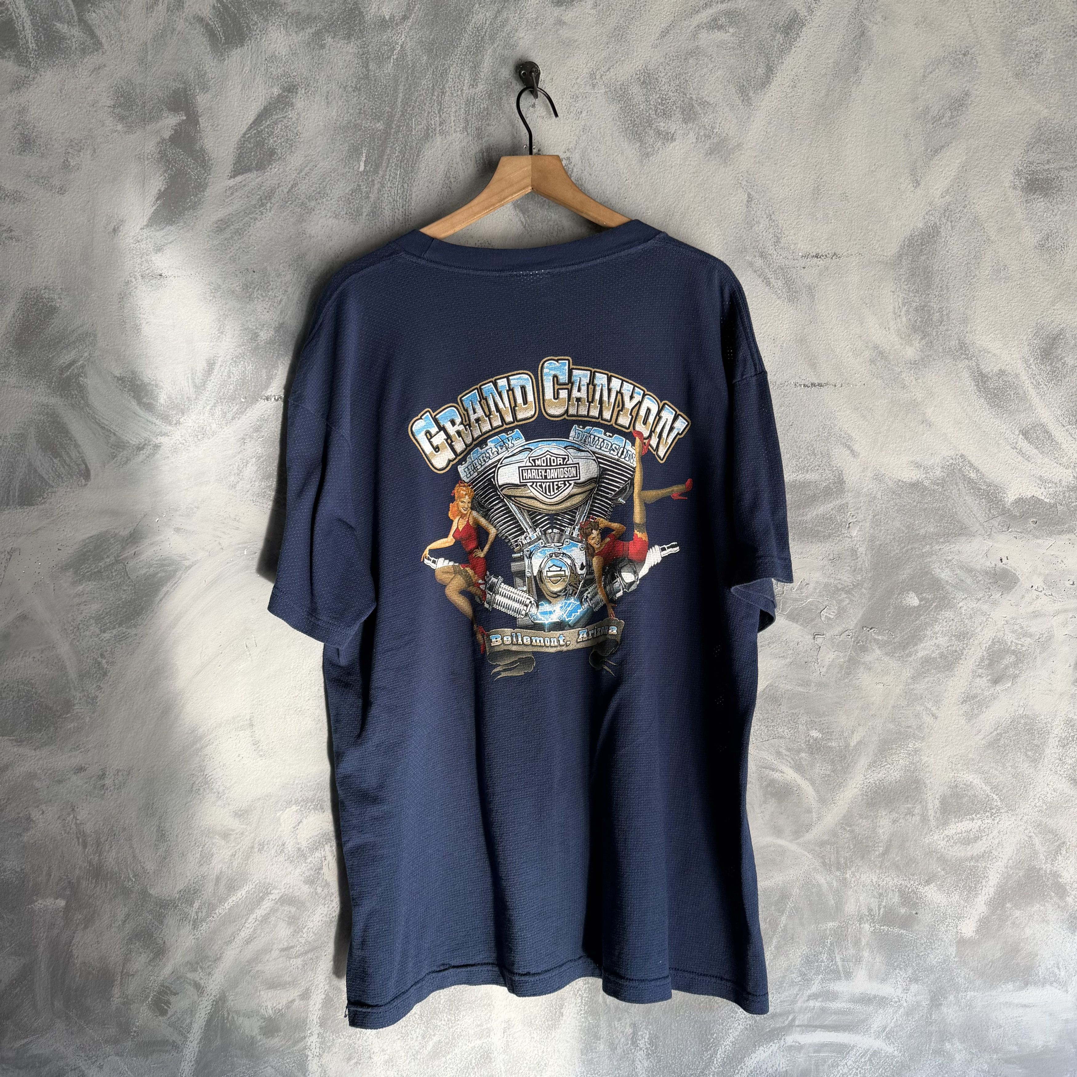 Harley Davidson Vtg Harley Davidson T Shirt Arizona Motor Sexy Girl Canyon Size US XL / EU 56 / 4 - 5 Thumbnail