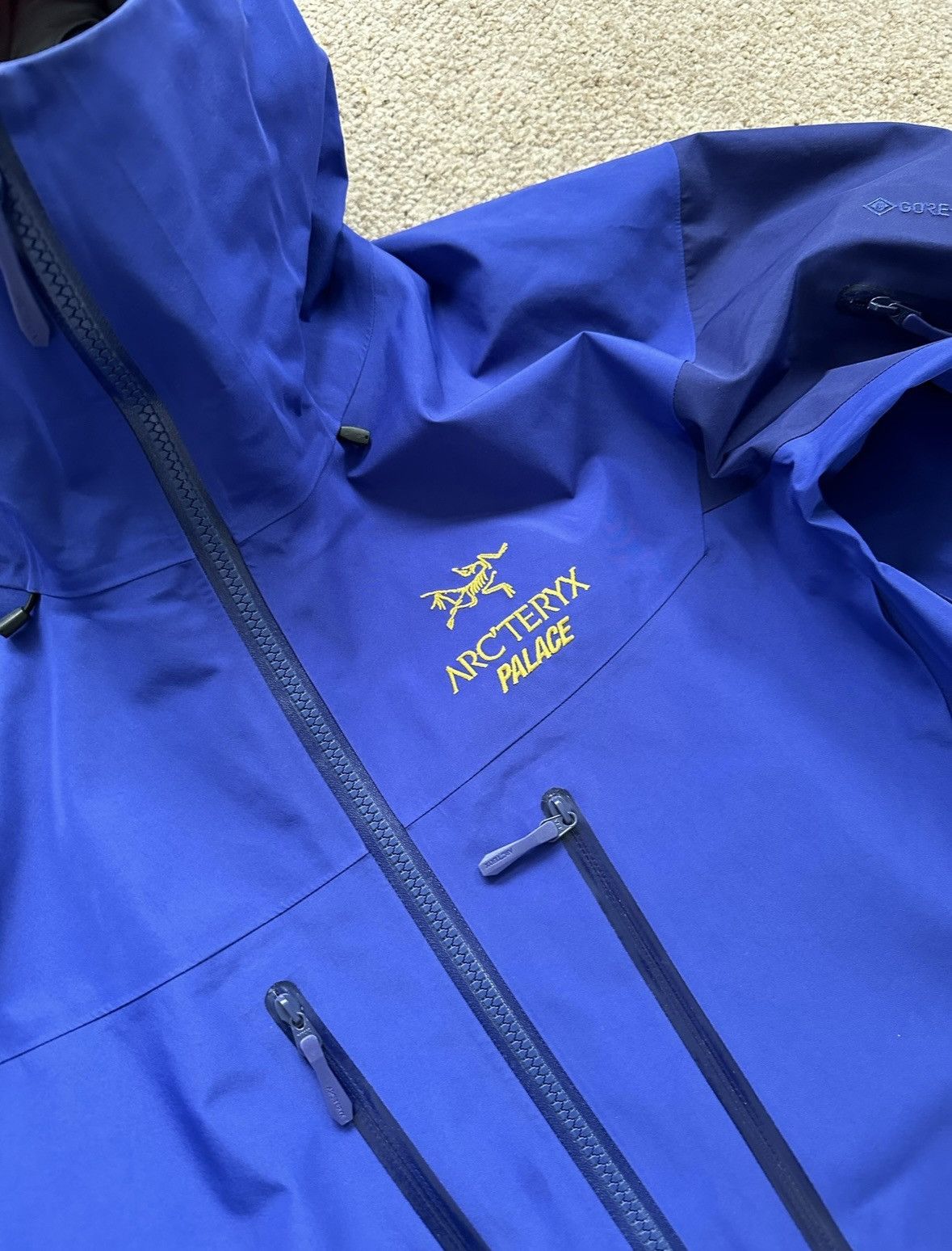 Arc'Teryx Arcteryx X Palace Alpha SV | Grailed