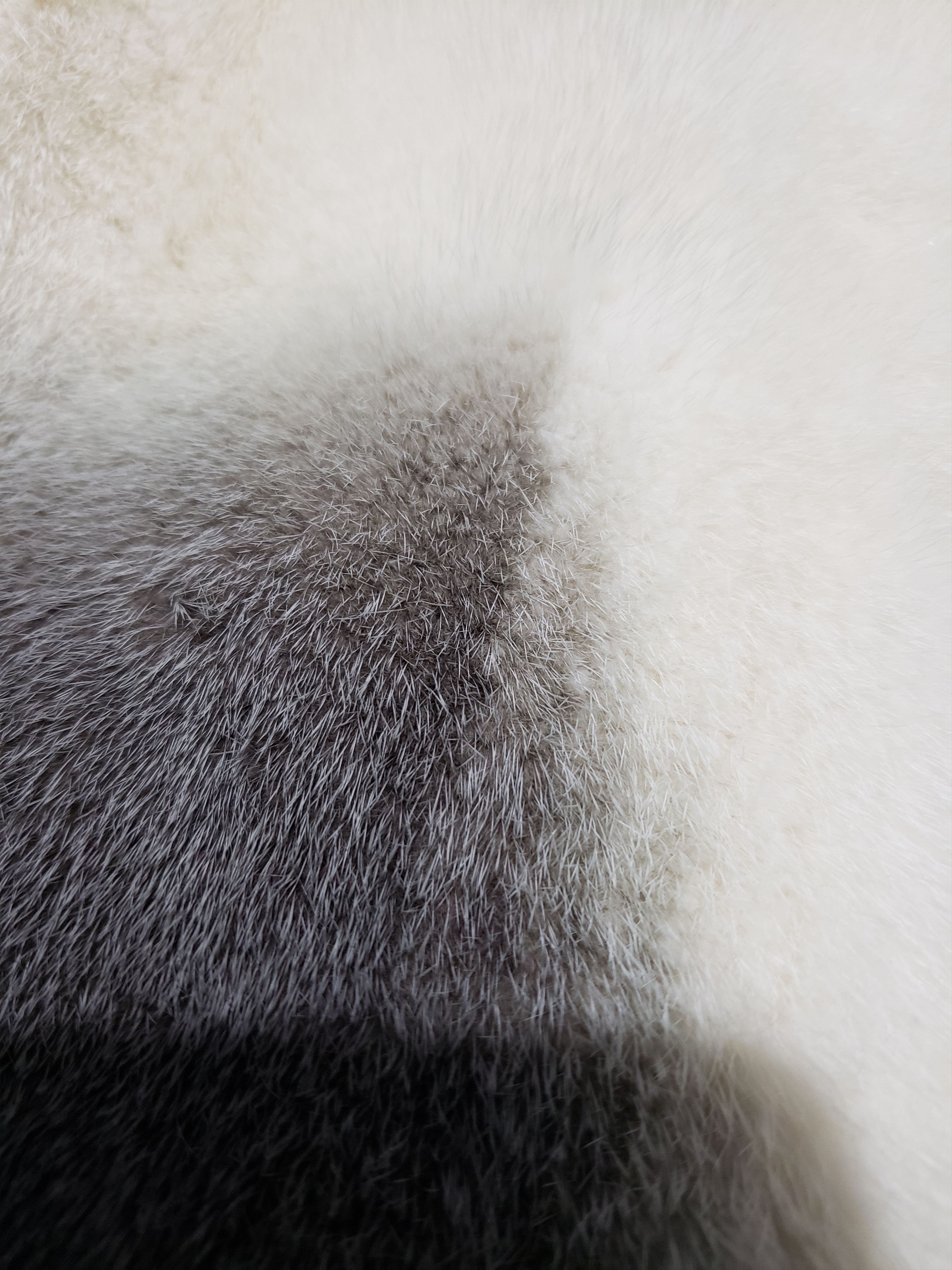 Other Stylish women's mink coat. Size XL / US 12-14 / IT 48-50 - 9 Thumbnail