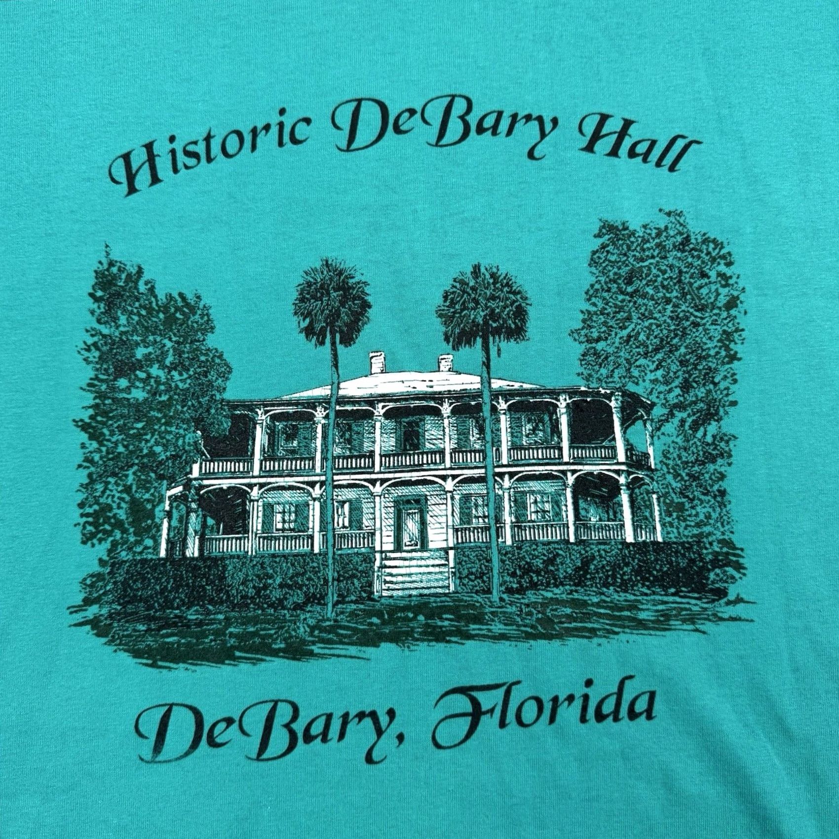 Fruit Of The Loom VINTAGE DeBary Hall Florida T Shirt Men L Blue Cotton Polyester 90s History Nature Home Shirt Mens Size US L / EU 52-54 / 3 - 2 Thumbnail