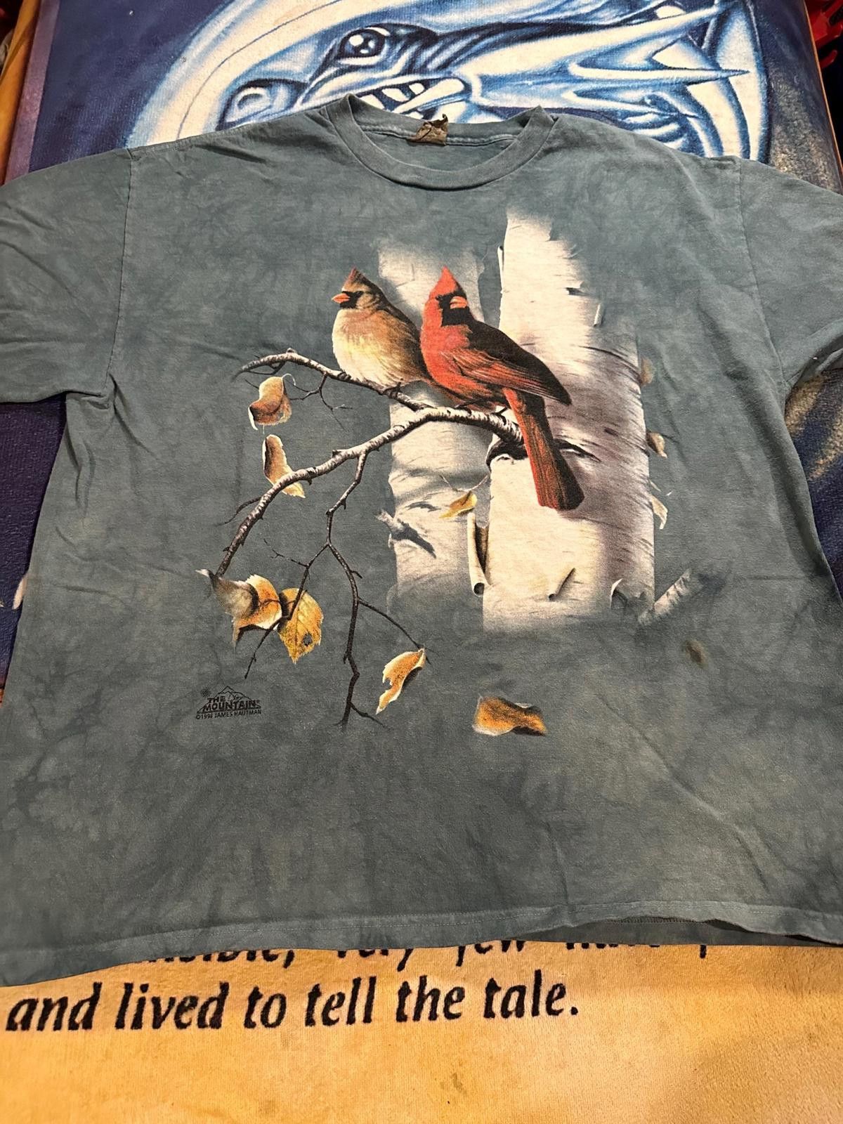 The Mountain The Mountain 1998 Cardinal Bird Graphic T-Shirt Size ONE SIZE - 1 Thumbnail