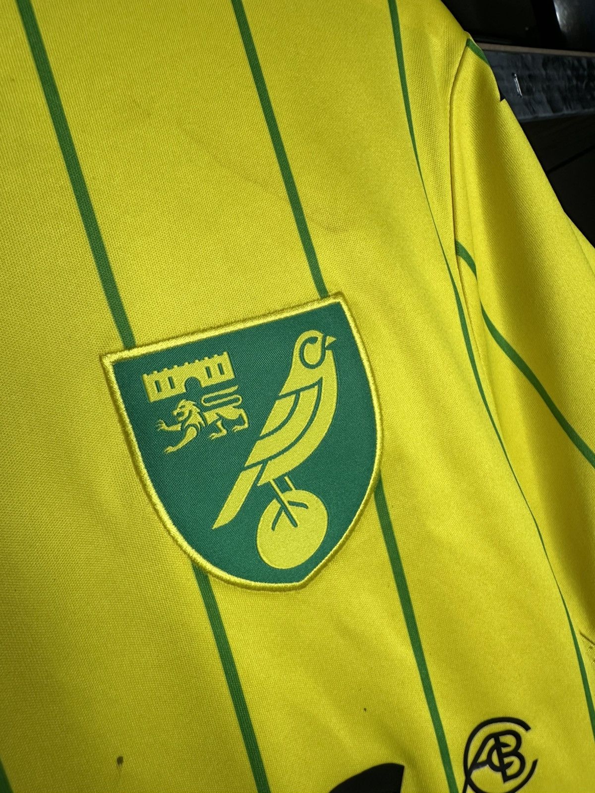 Jerzees Joma Norwich City Home football shirt 2022 - 2023 Size US L / EU 52-54 / 3 - 4 Thumbnail
