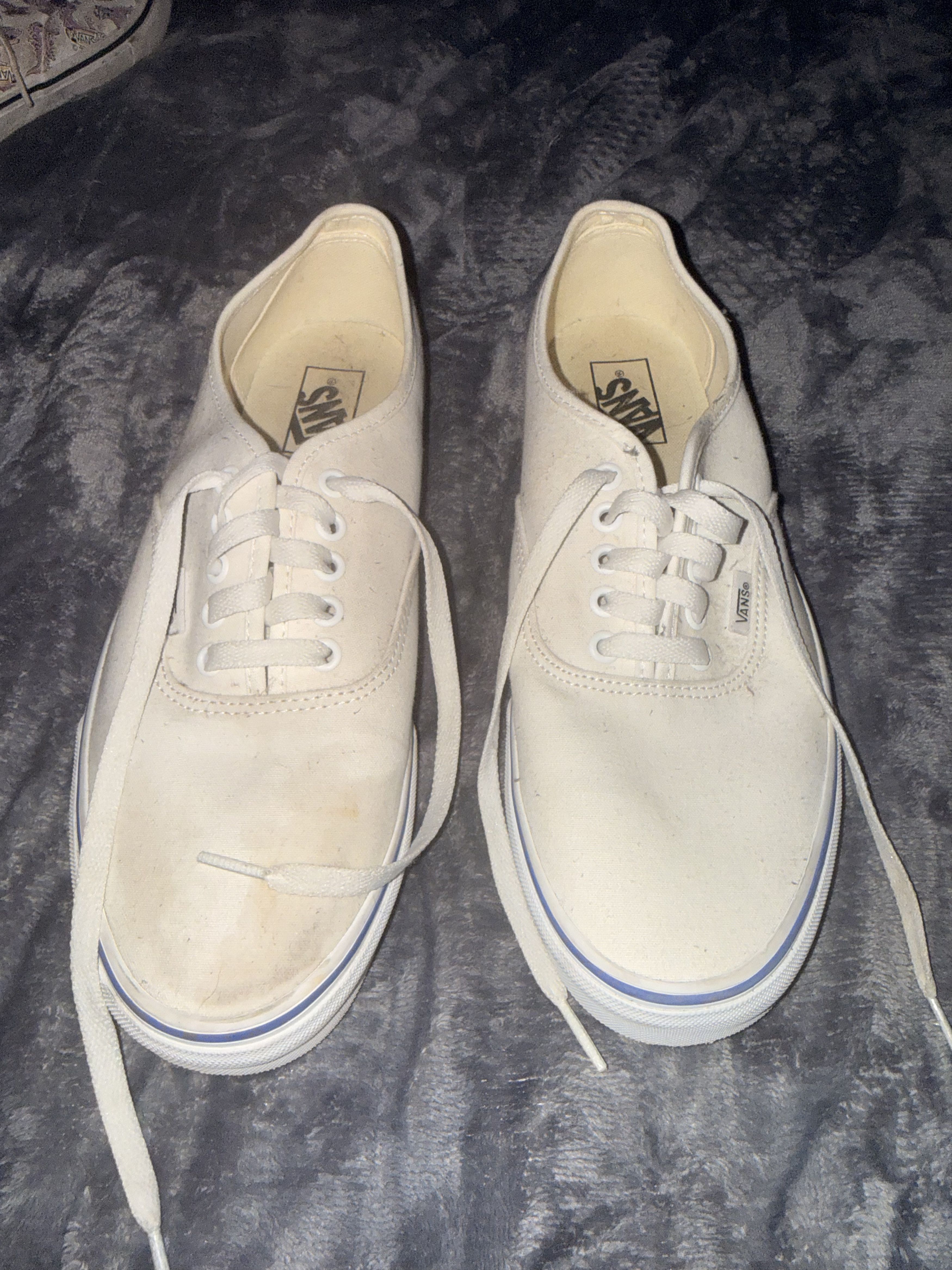 Vans Vans Authentic Sidewall Paint Palette Size US 10.5 / EU 43-44 - 1 Thumbnail