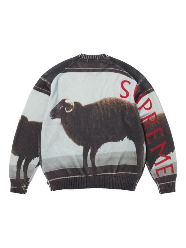 Damien Hirst × Supreme Damian hirst goat sweater supreme Size US M / EU 48-50 / 2 - 6 Thumbnail