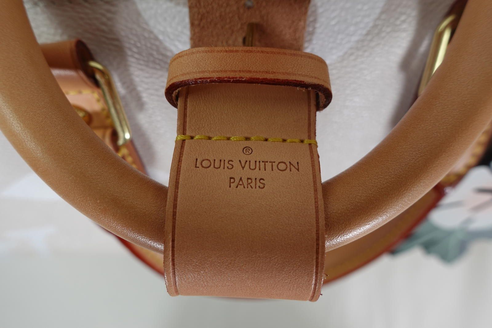 Louis Vuitton LOUIS VUITTON GIANT MONOGRAM KEEPALL 45 - BRUME Size ONE SIZE - 6 Thumbnail