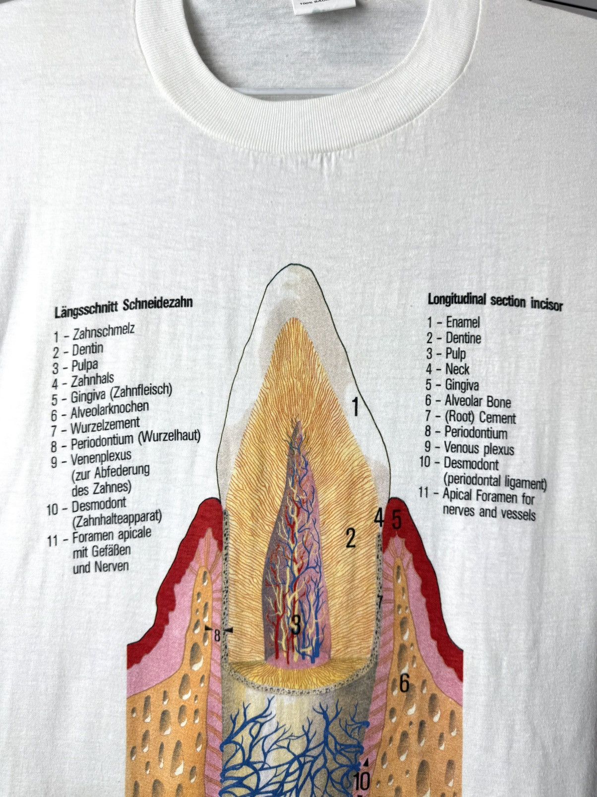 Vintage Berlin 1989 Vintage Tooth Diagram Medicine T Shirt Size US XL / EU 56 / 4 - 2 Thumbnail
