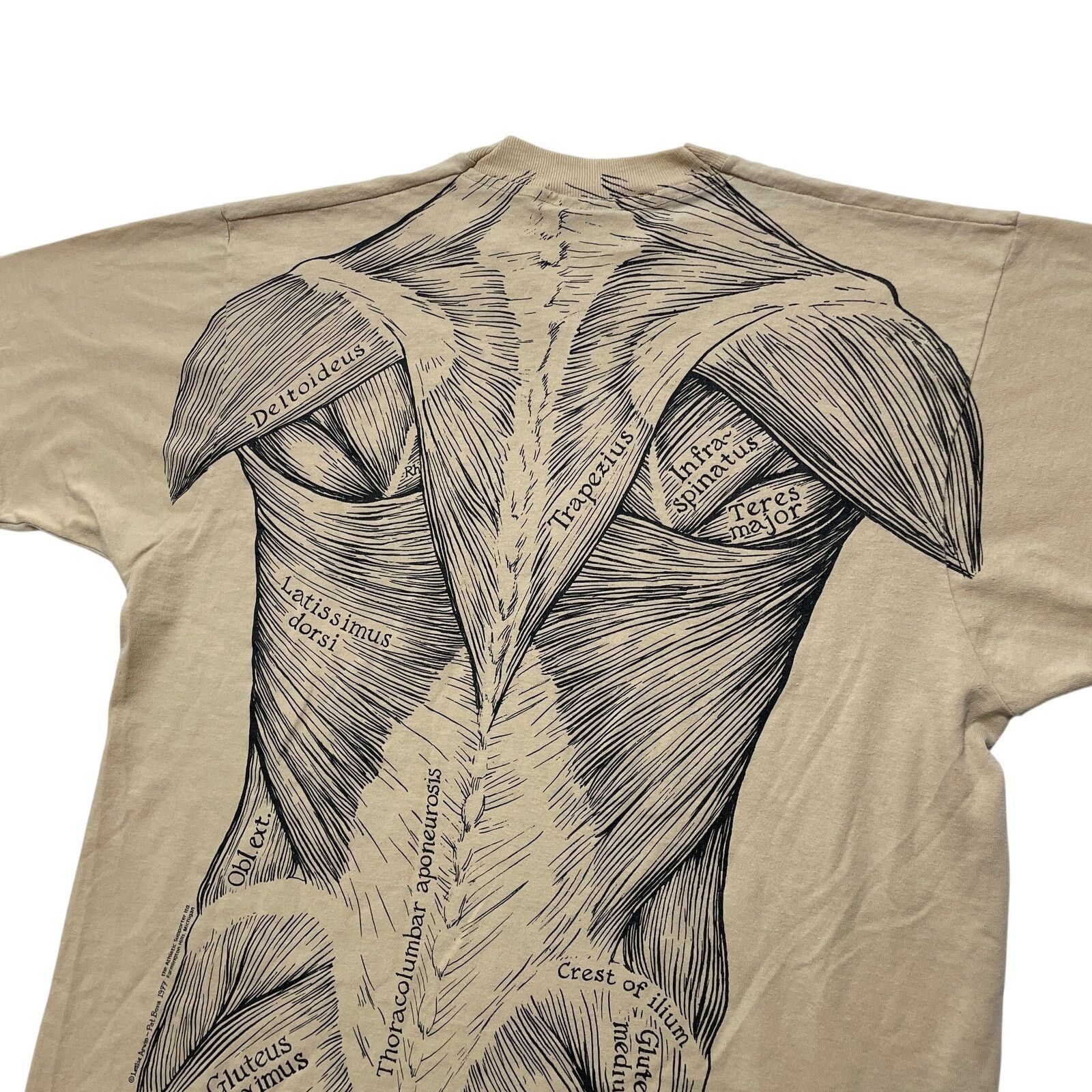 Vintage VTG 80's 1977 Leslie Arwin Muscle Anatomy Beige T-Shirt L Size US L / EU 52-54 / 3 - 5 Thumbnail