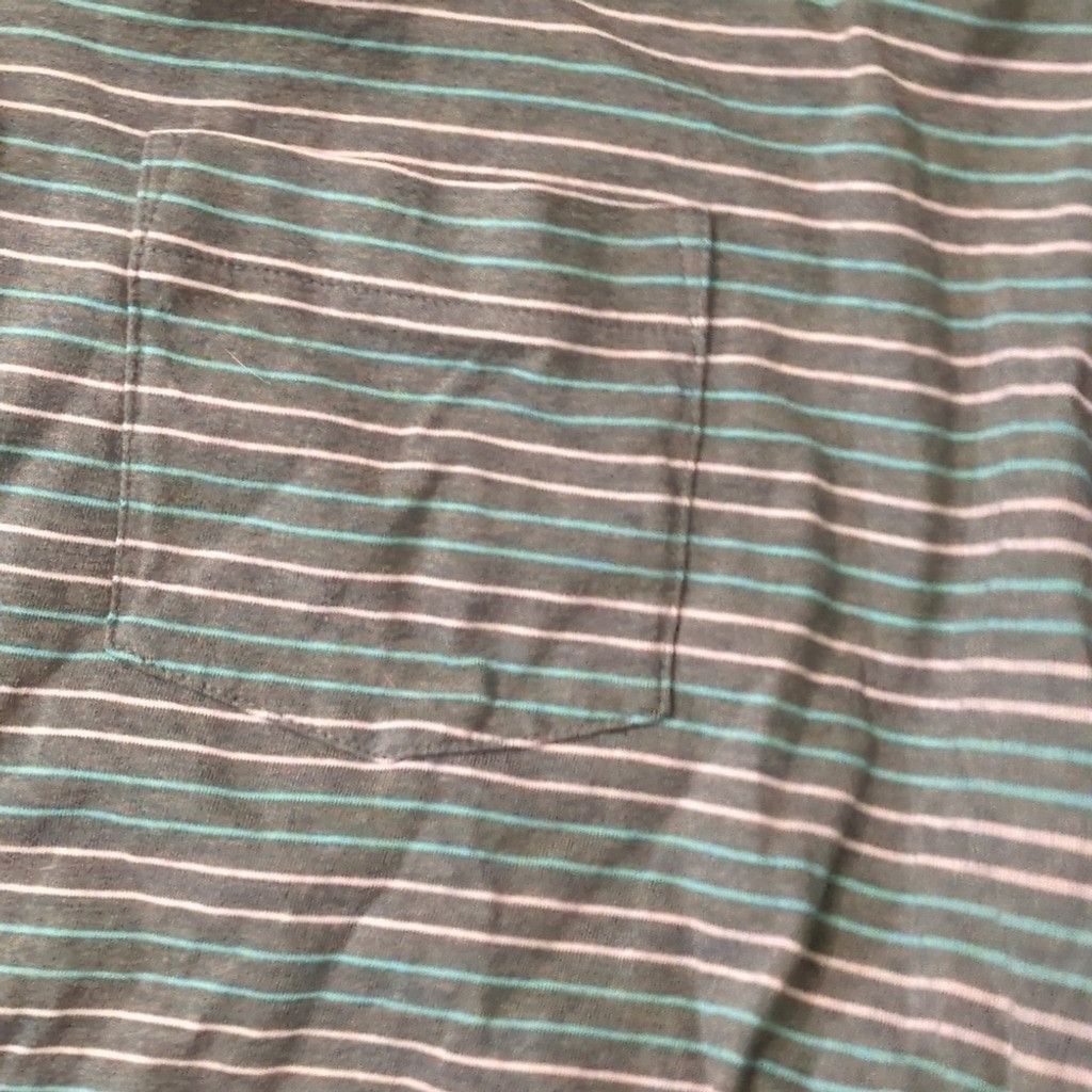 Patagonia Patagonia green striped organic cotton polo size XL Size US XL / EU 56 / 4 - 6 Thumbnail
