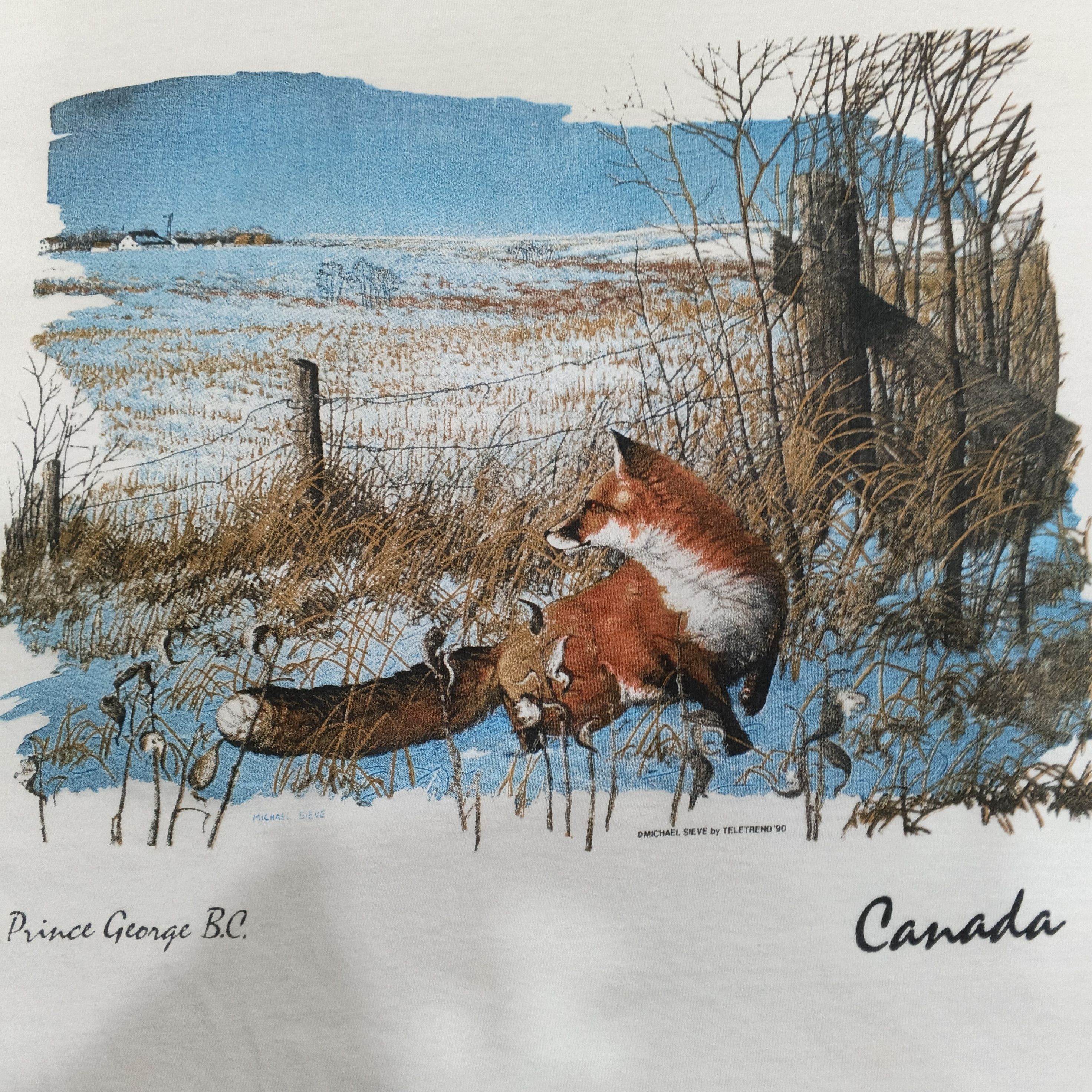 Habitat Vintage 90s Single Stitch Art Canada Michael Sieve Tshirt Size US L / EU 52-54 / 3 - 2 Thumbnail