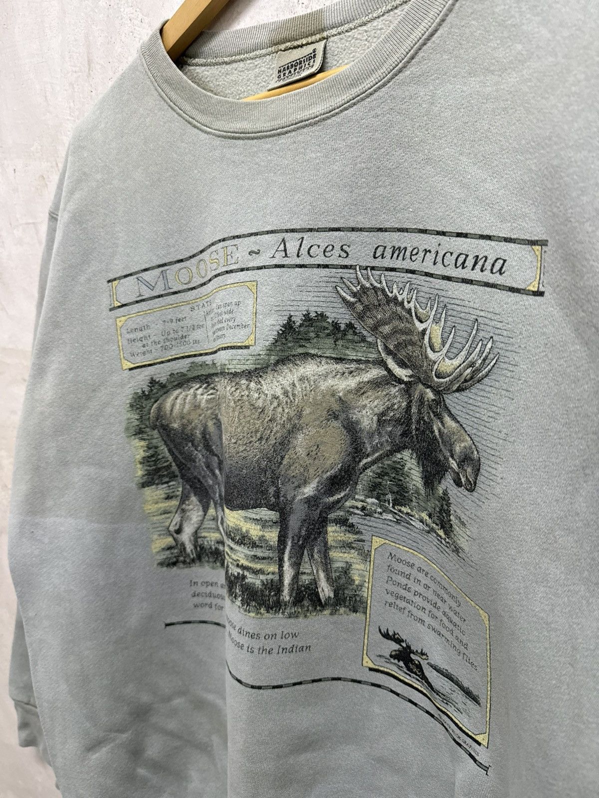 Vintage Sun Faded Moose Thrashed Sweatshirt Size US M / EU 48-50 / 2 - 3 Thumbnail