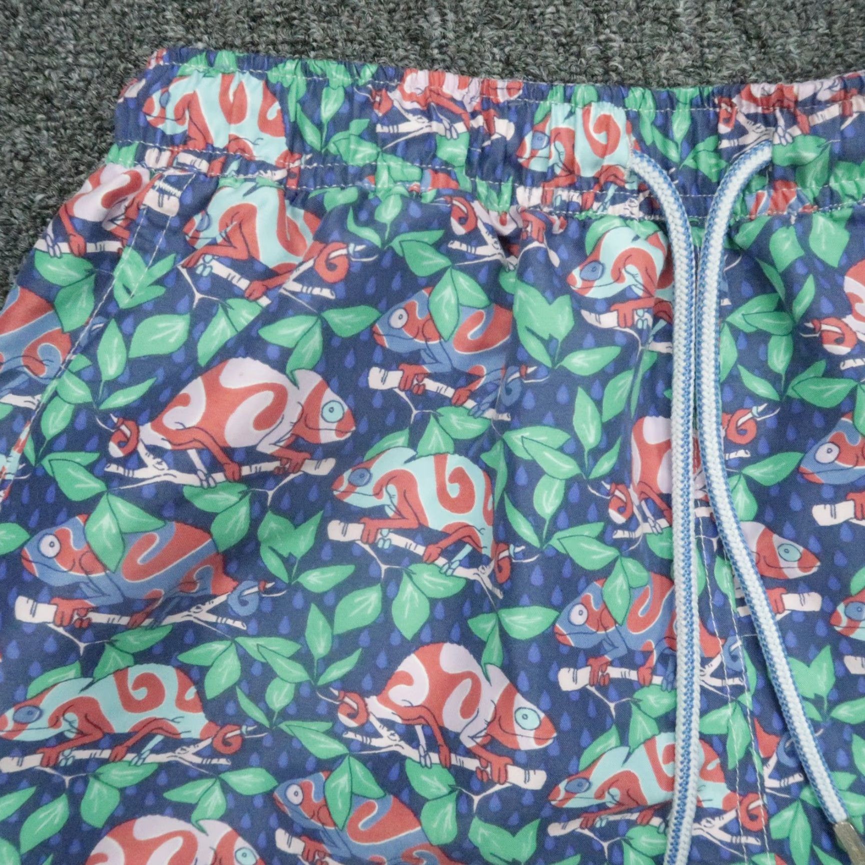 Peter Millar Peter Millar Swim Trunks Mens Medium Blue Green Karma Chameleon Lined Shorts Size US 31 - 2 Thumbnail