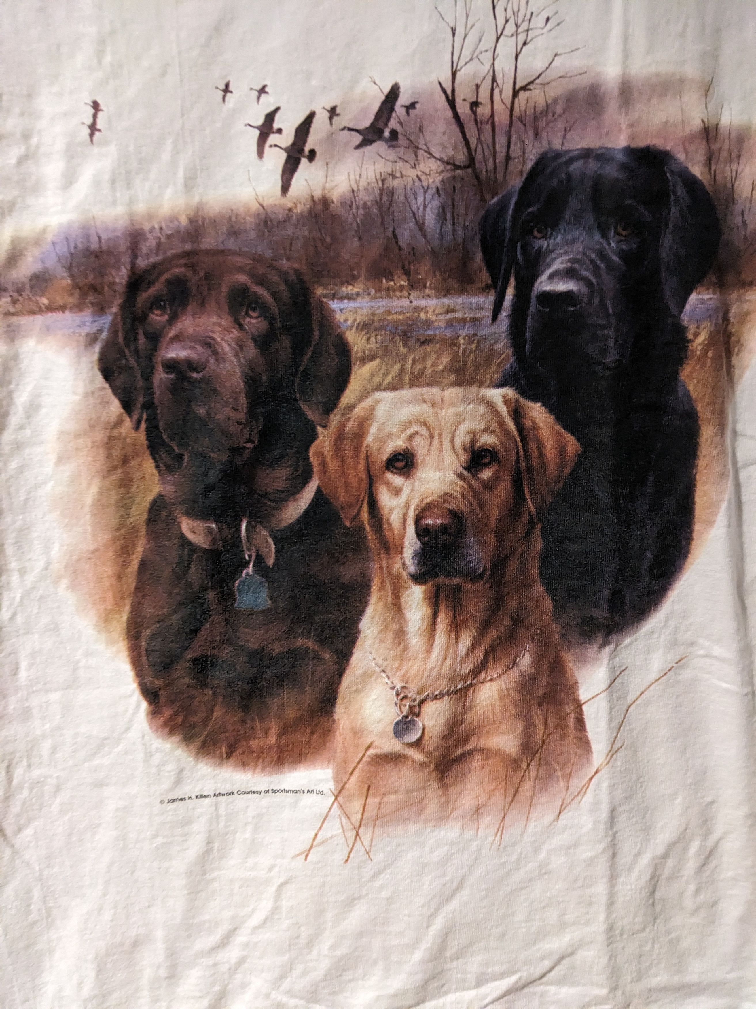 Vintage Vintage Y2K Golden Labrador Retriever Chocolate T-Shirt Size US L / EU 52-54 / 3 - 2 Thumbnail