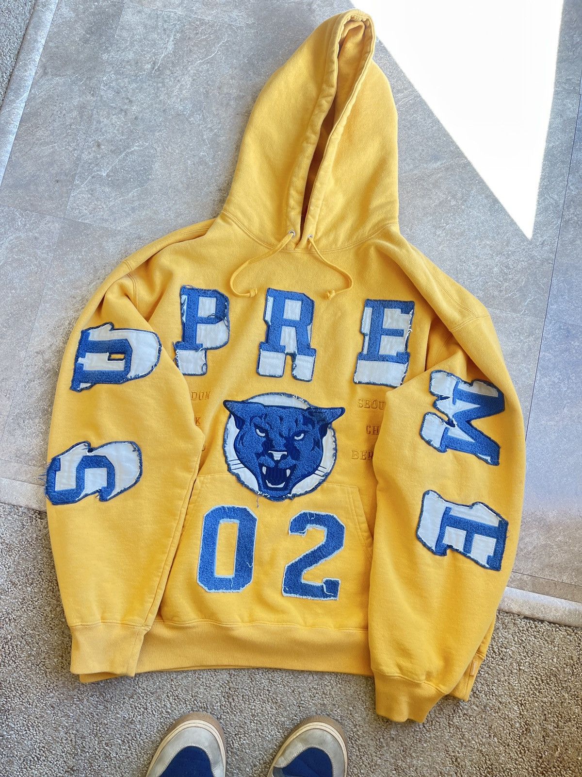 Supreme Supreme Washed Panther Hoodie FW 23 Size US L / EU 52-54 / 3 - 9 Thumbnail