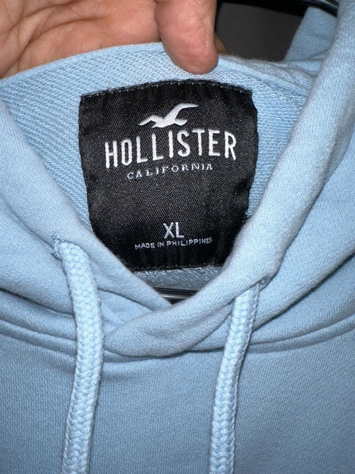 Hollister Hollister hoodie in XL pale blue -embroidered bird logo Size US XL / EU 56 / 4 - 9 Thumbnail